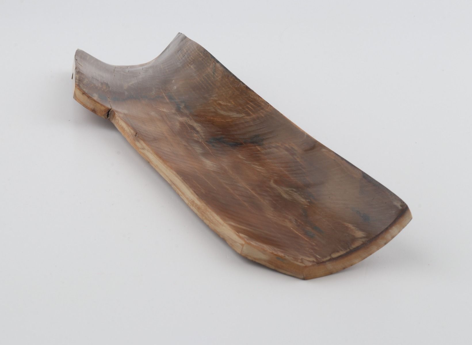 Brown mammoth bark