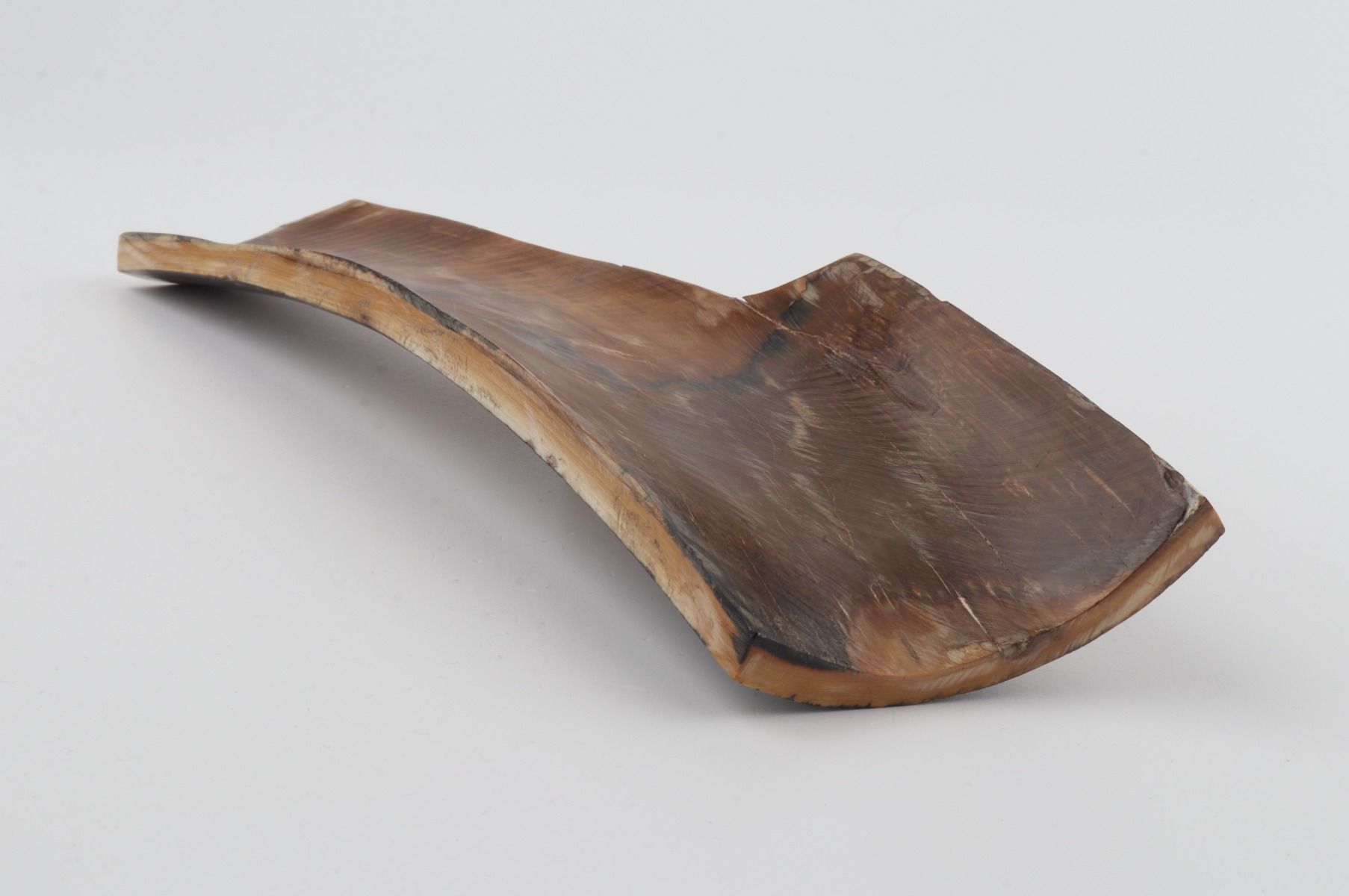 Brown mammoth bark
