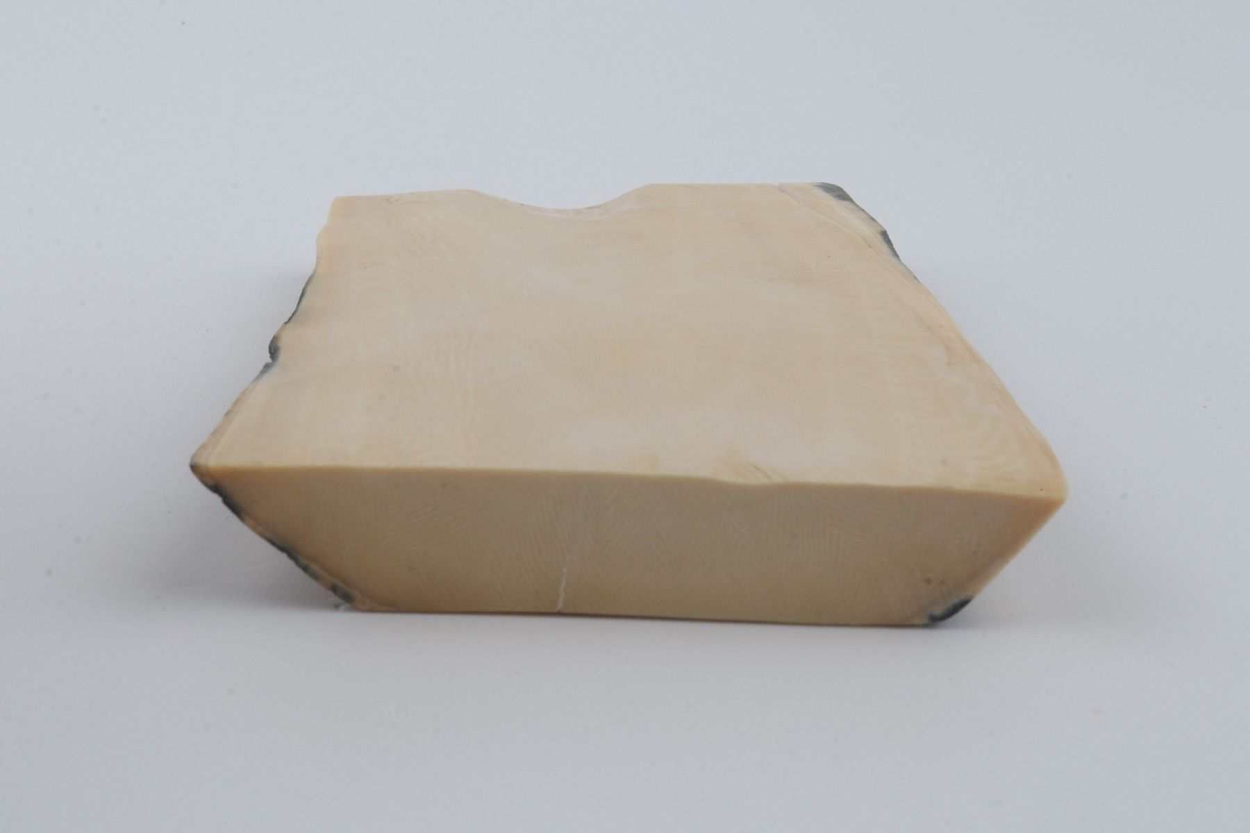 White mammoth ivory segment 