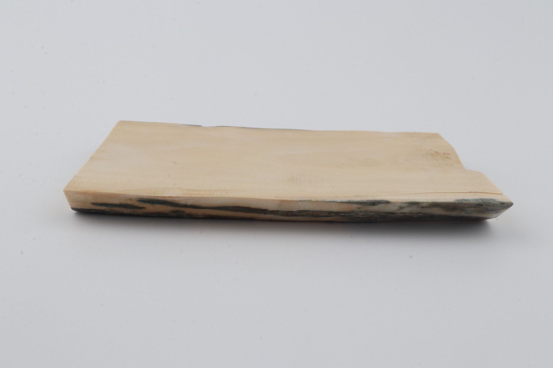 White mammoth ivory segment 