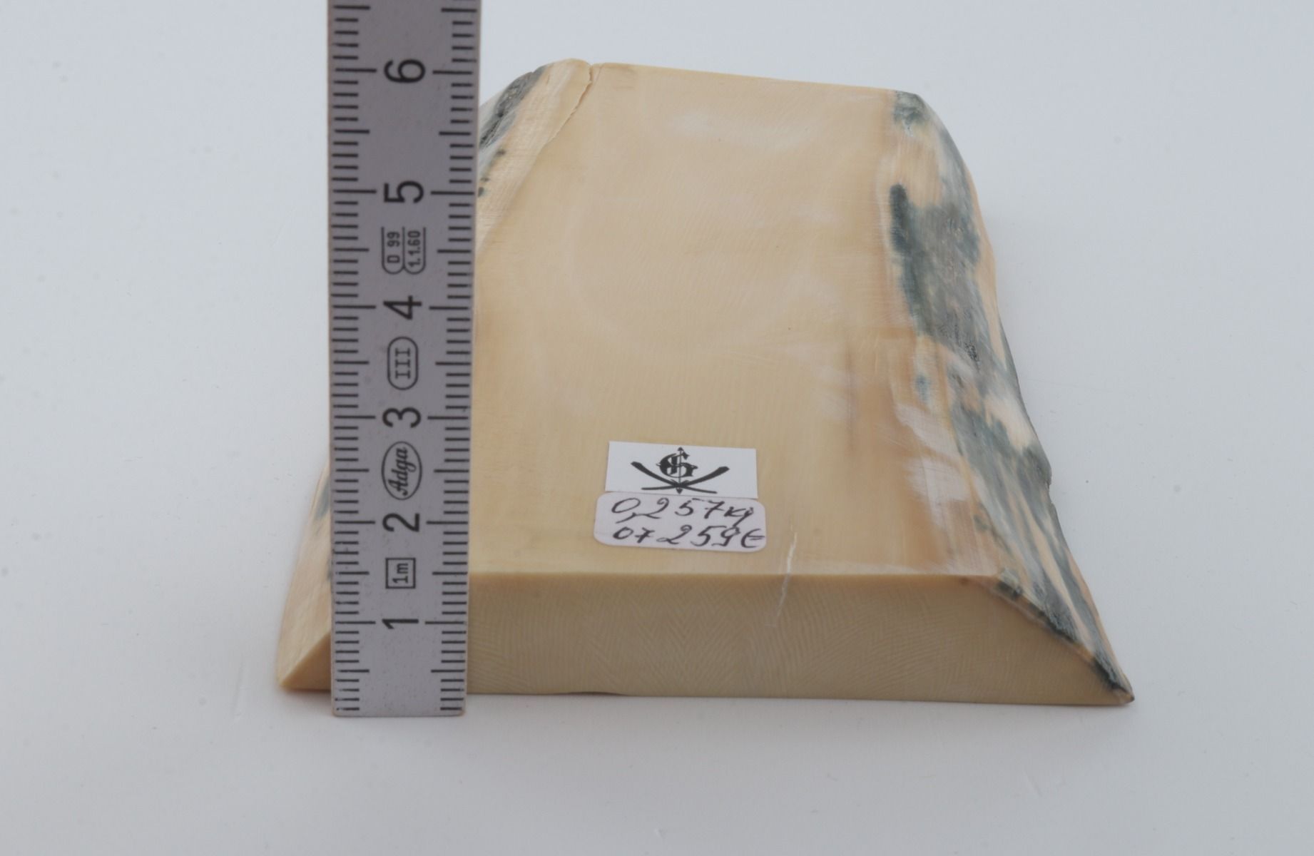 White mammoth ivory segment 