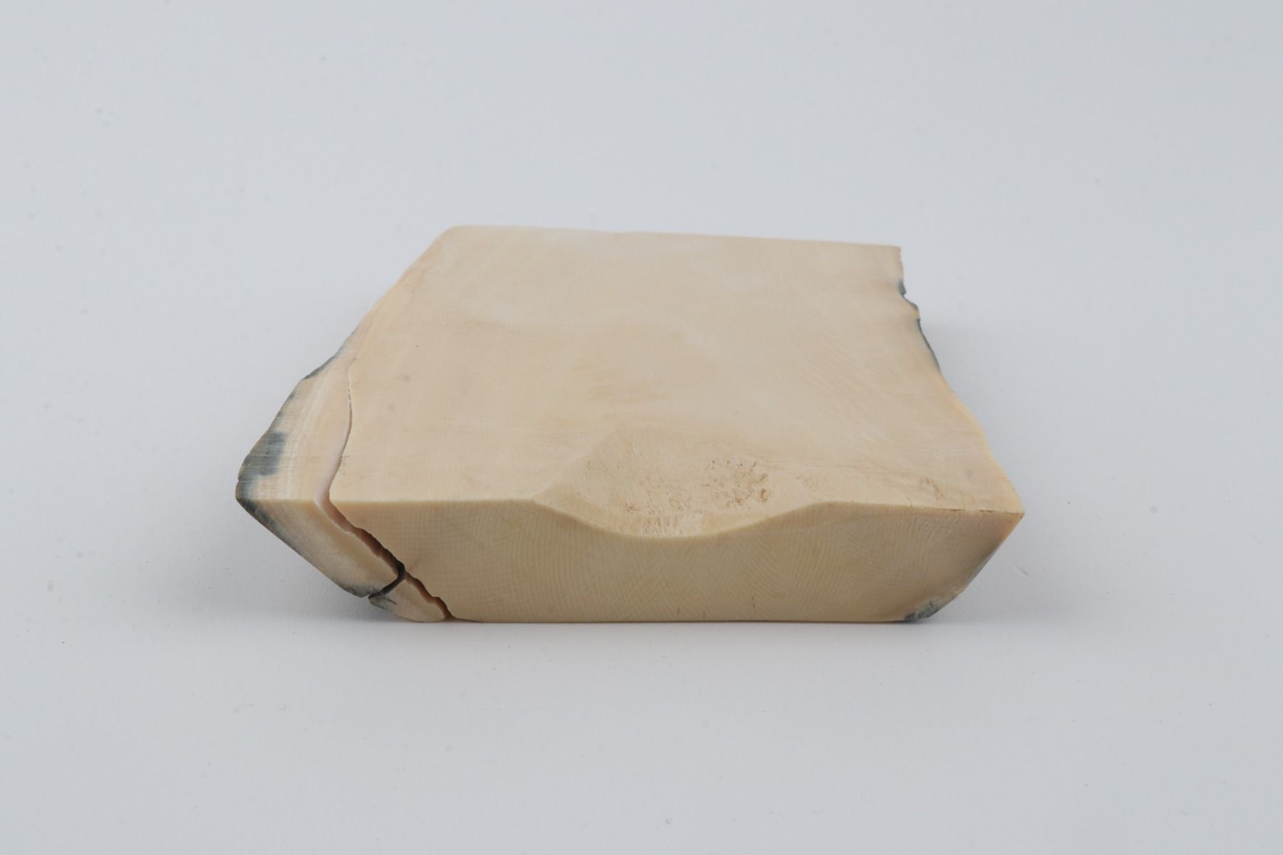 White mammoth ivory segment 