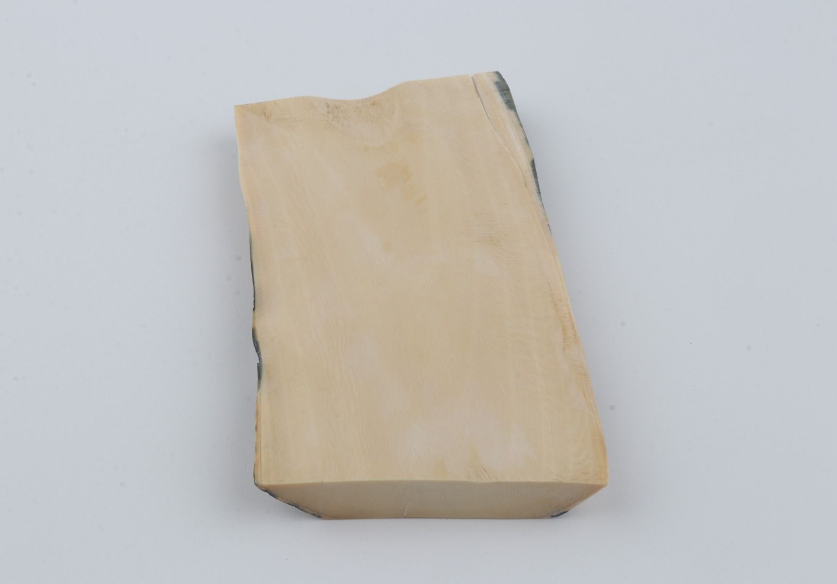 White mammoth ivory segment 