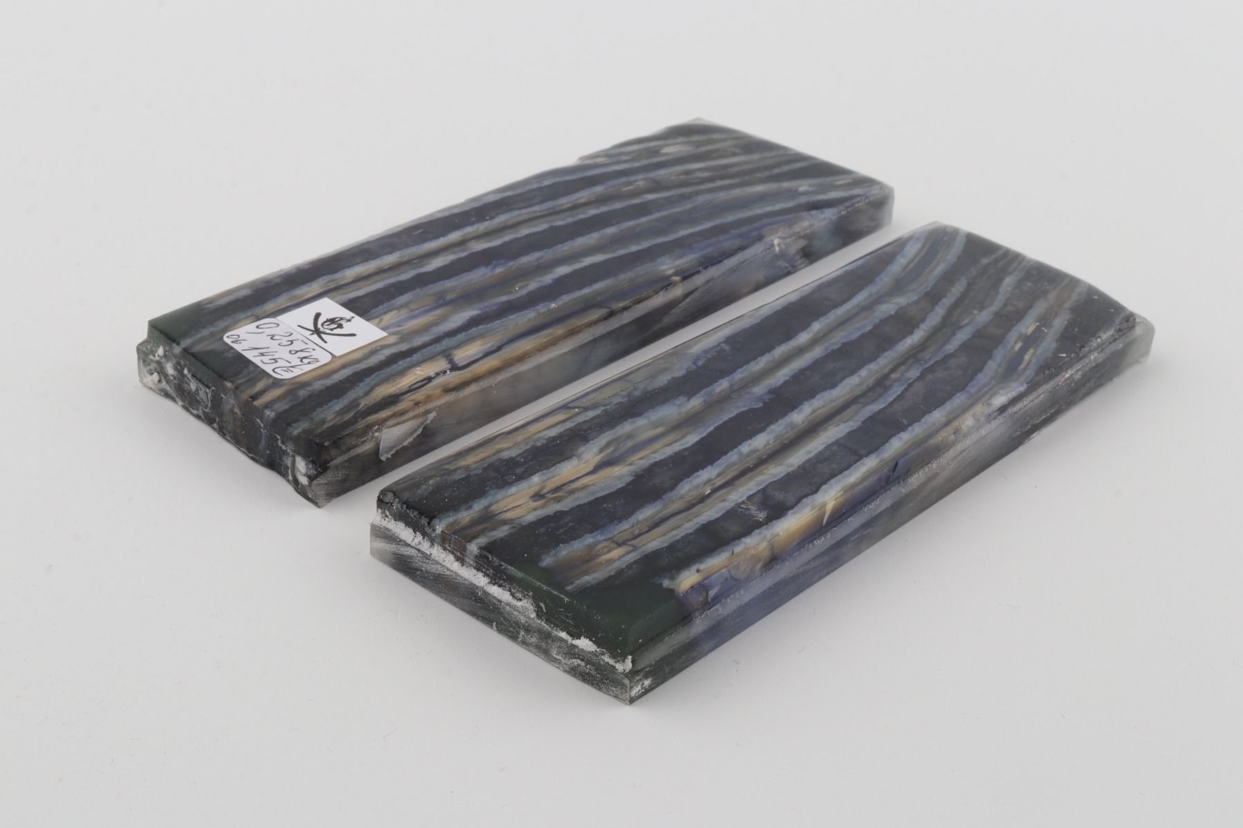 Stabilized mammoth molar scales