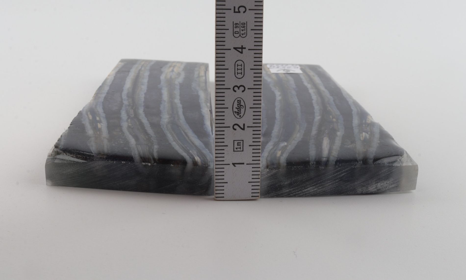 Stabilized mammoth molar scales