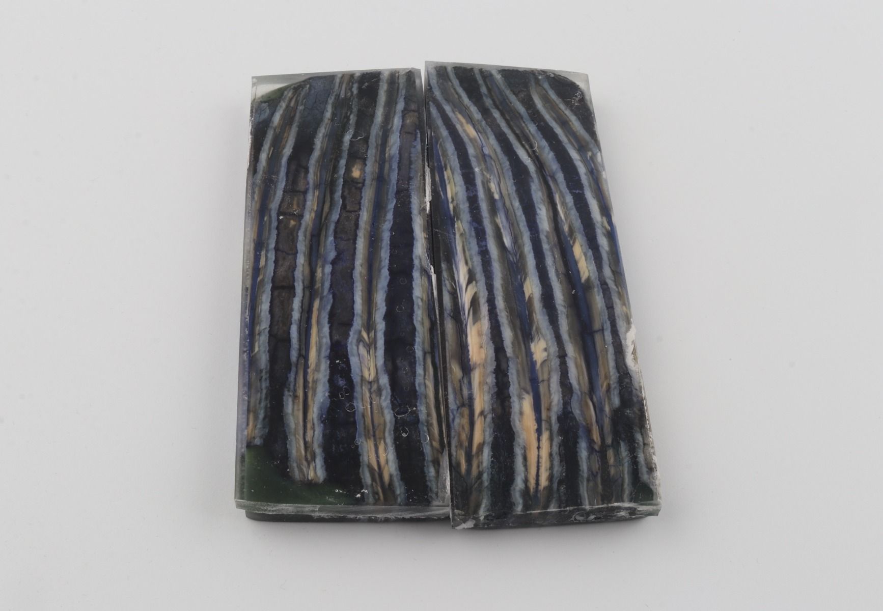 Stabilized mammoth molar scales