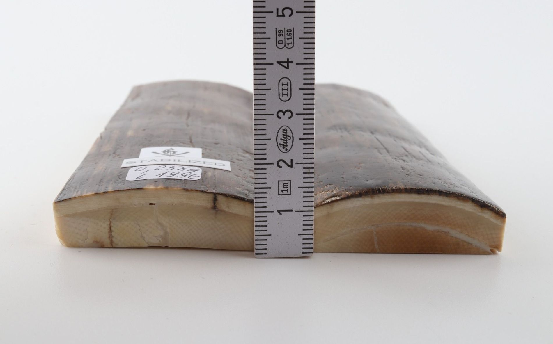 Stabilised mammoth bark scales