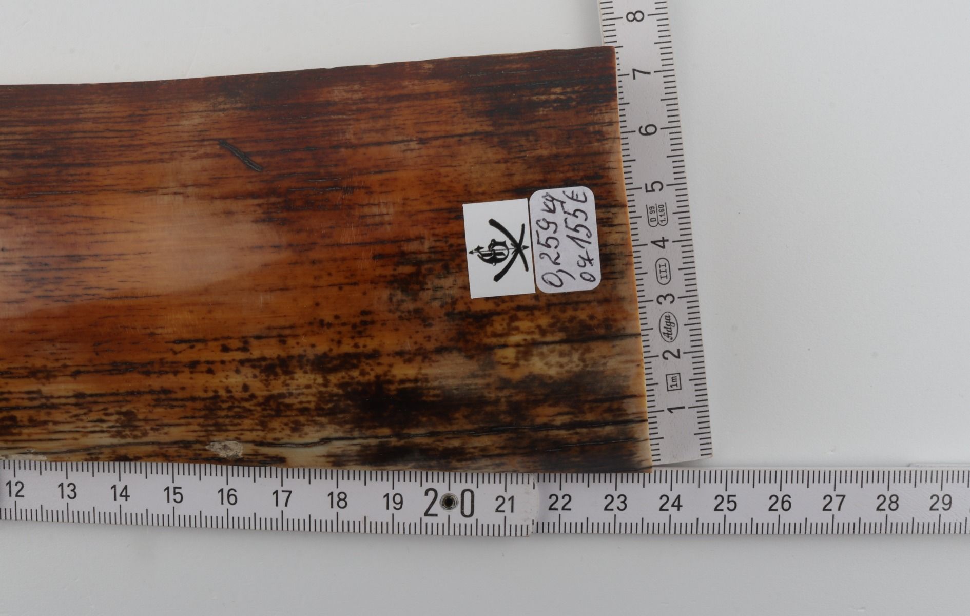 Orange-brown mammoth bark