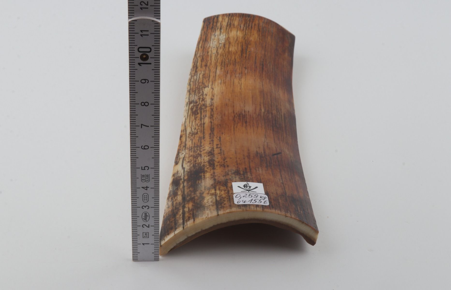 Orange-brown mammoth bark