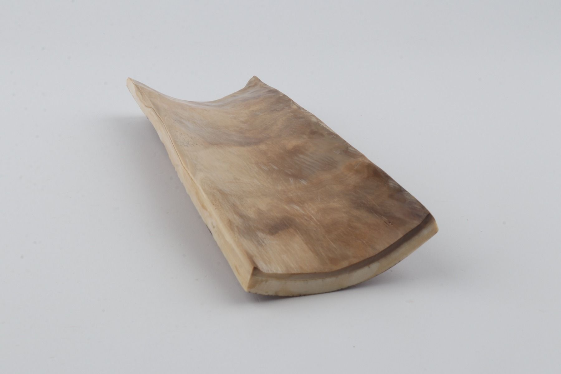 Orange-brown mammoth bark
