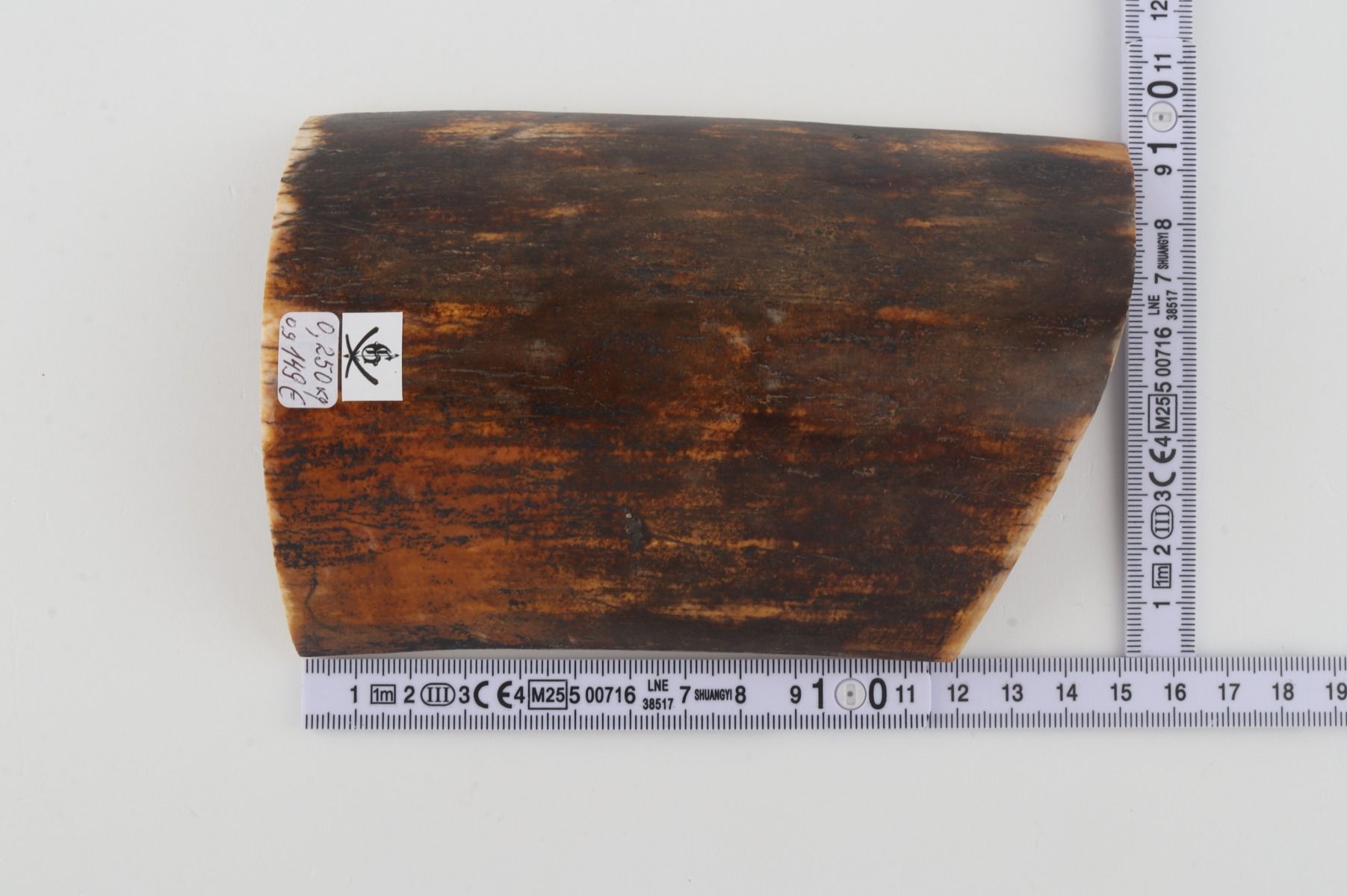 Brown-orange mammoth bark