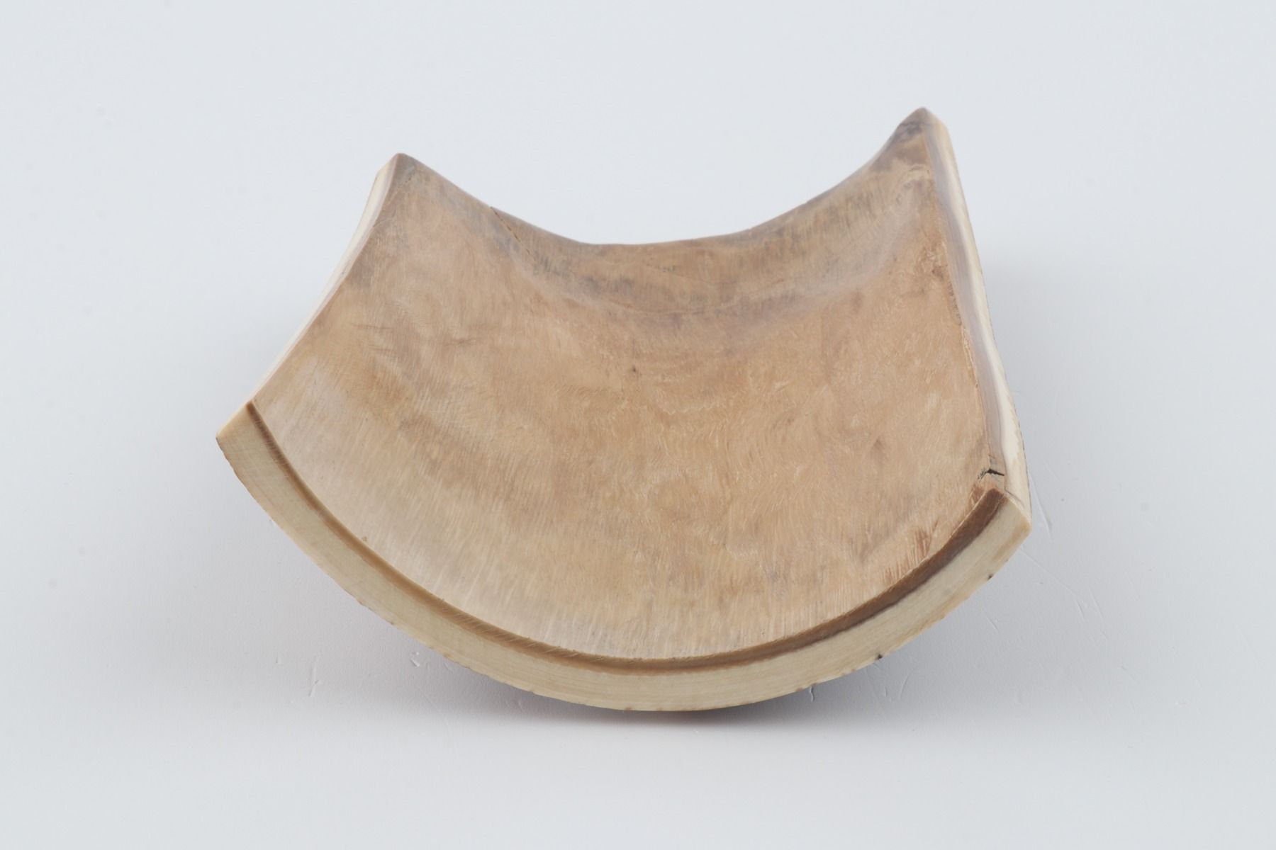 Brown-orange mammoth bark