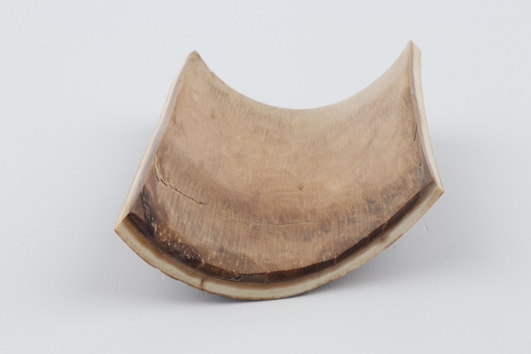 Brown-orange mammoth bark