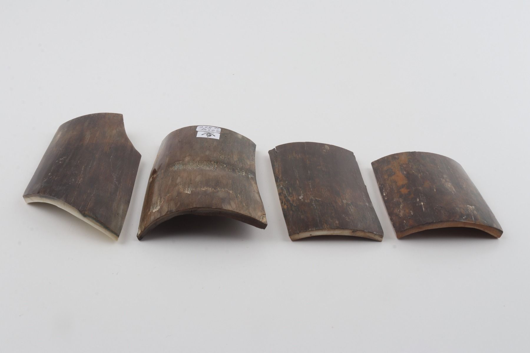 Brown-green mammoth bark pieces