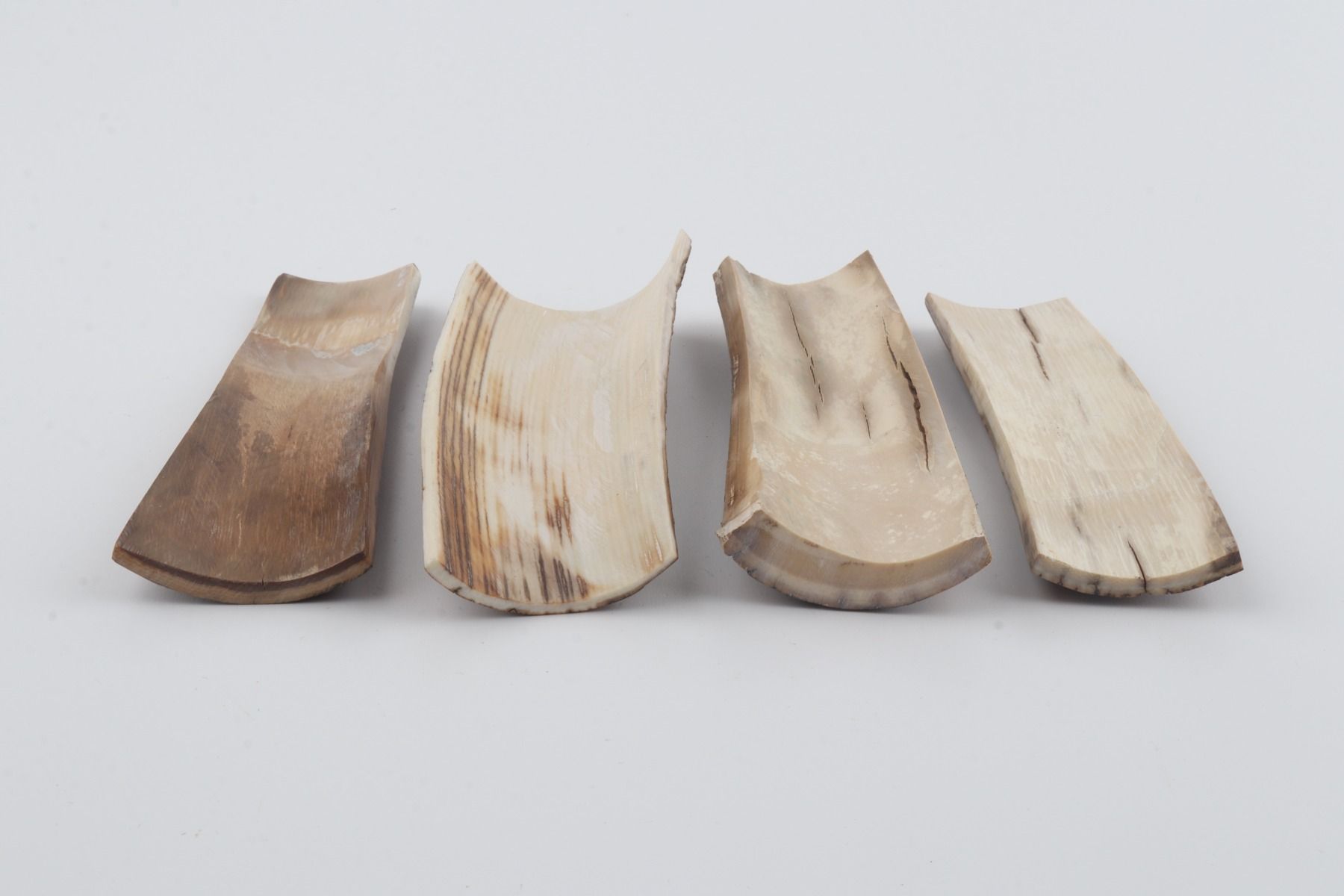 Brown-orange mammoth bark pieces