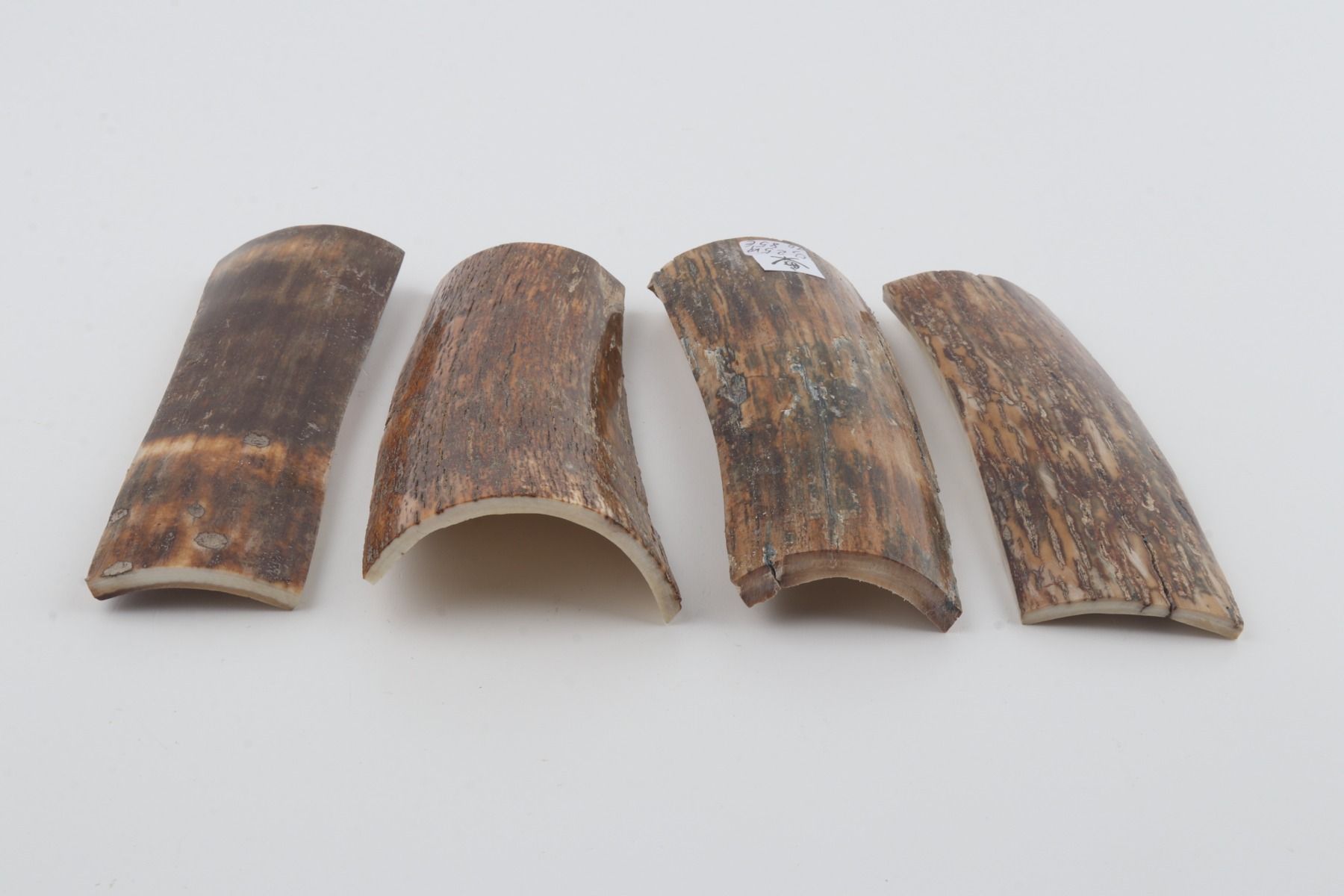 Brown-orange mammoth bark pieces