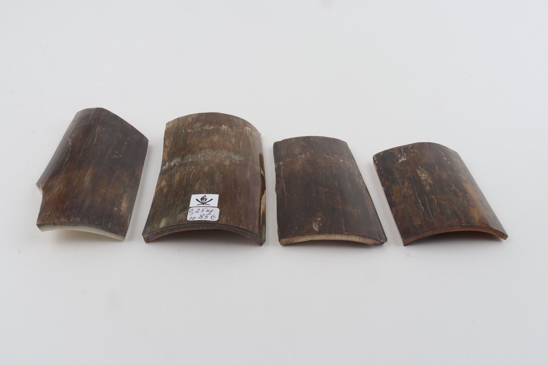 Brown-green mammoth bark pieces
