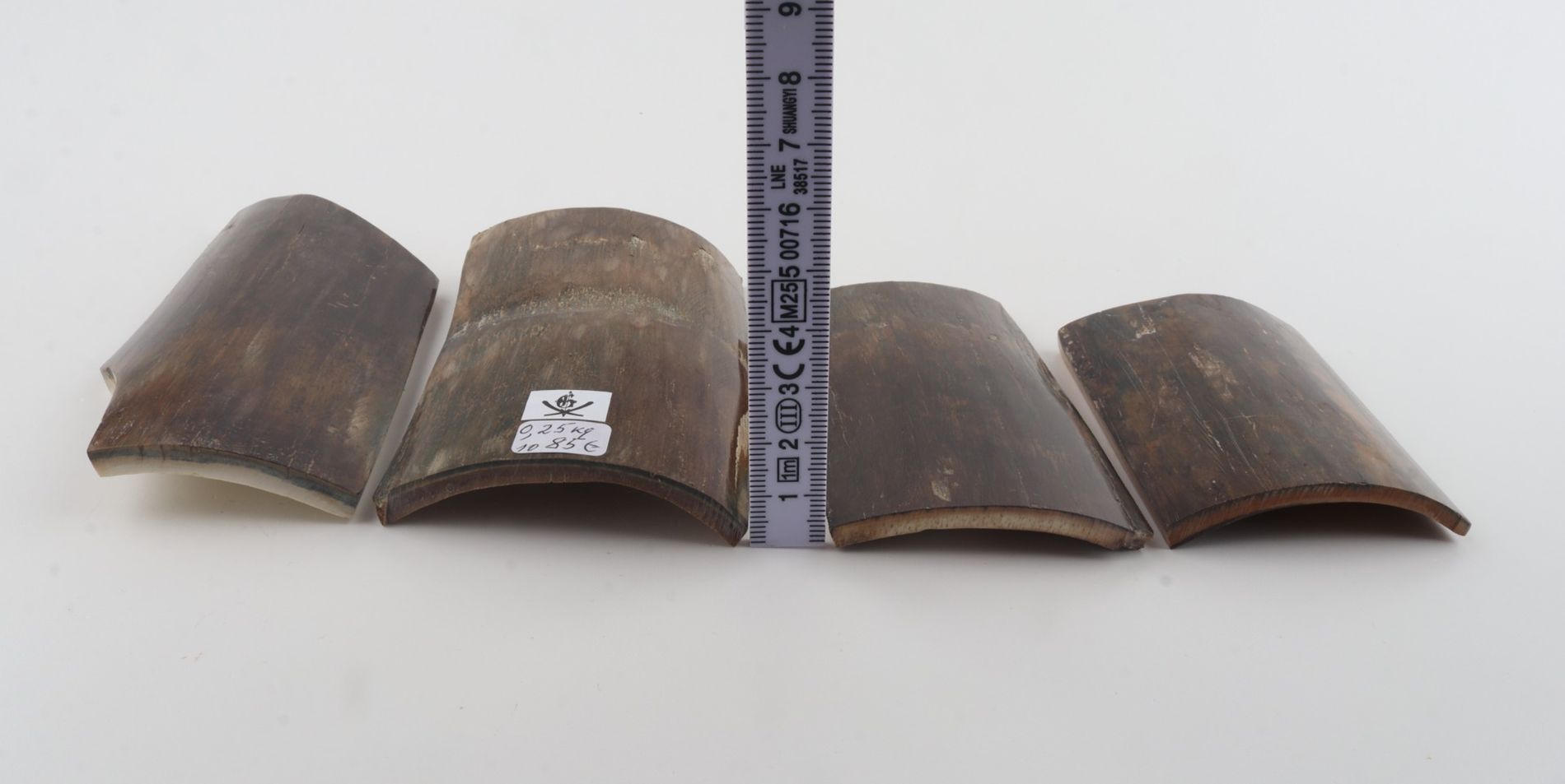 Brown-green mammoth bark pieces