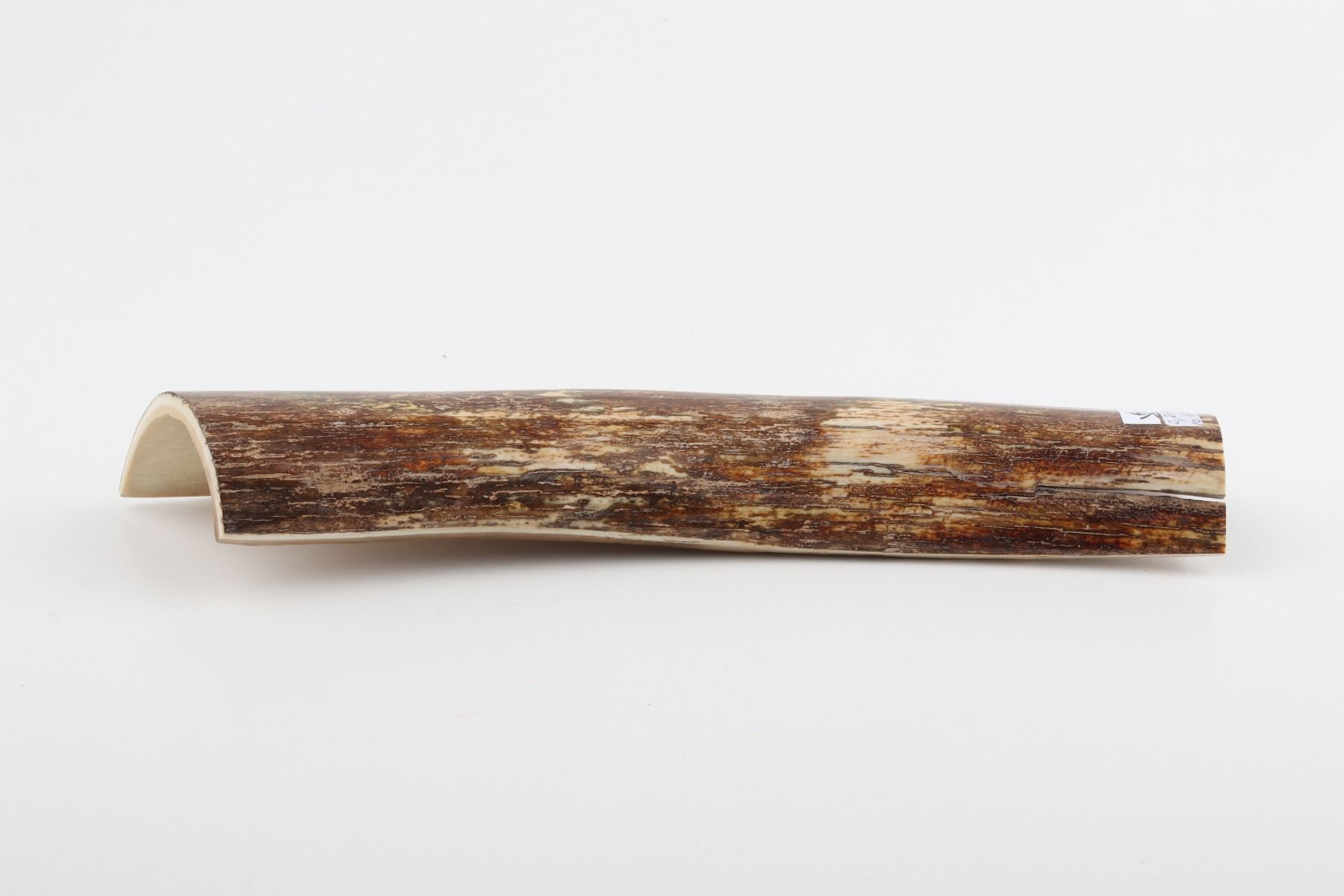 Beige-brown mammoth bark