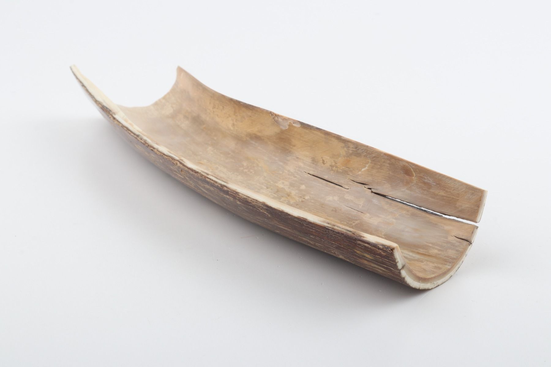 Beige-brown mammoth bark