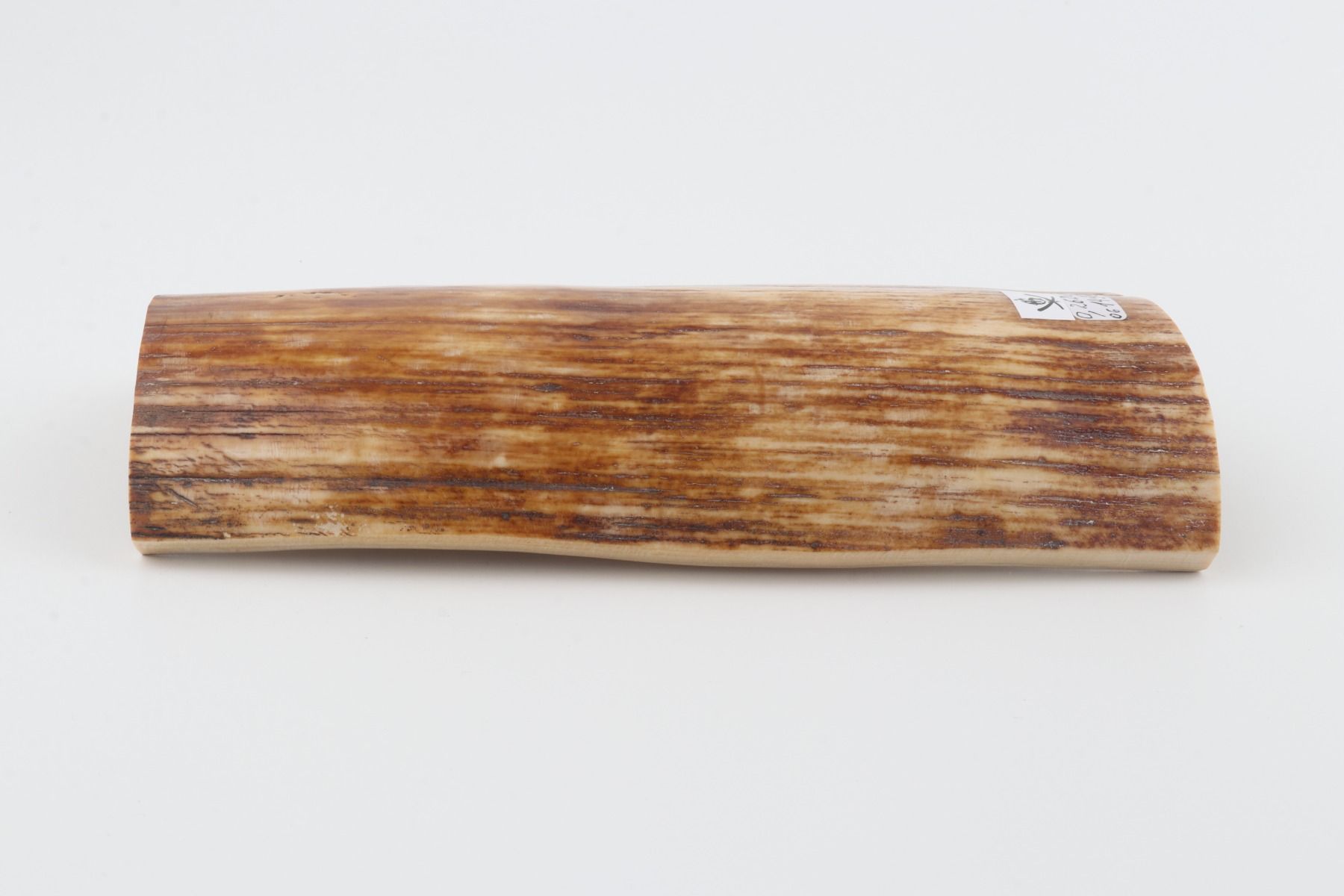 Brown-orange mammoth bark