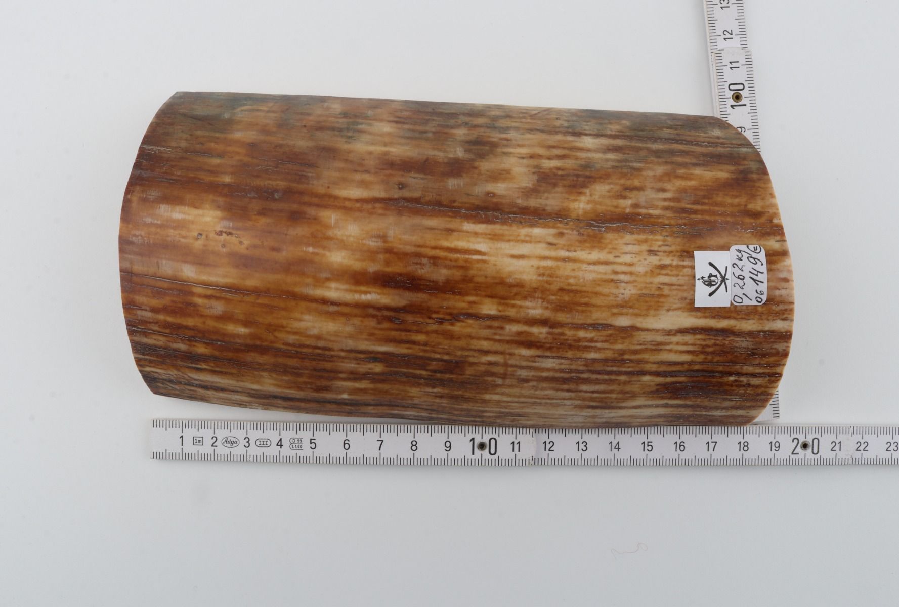 Brown-orange mammoth bark