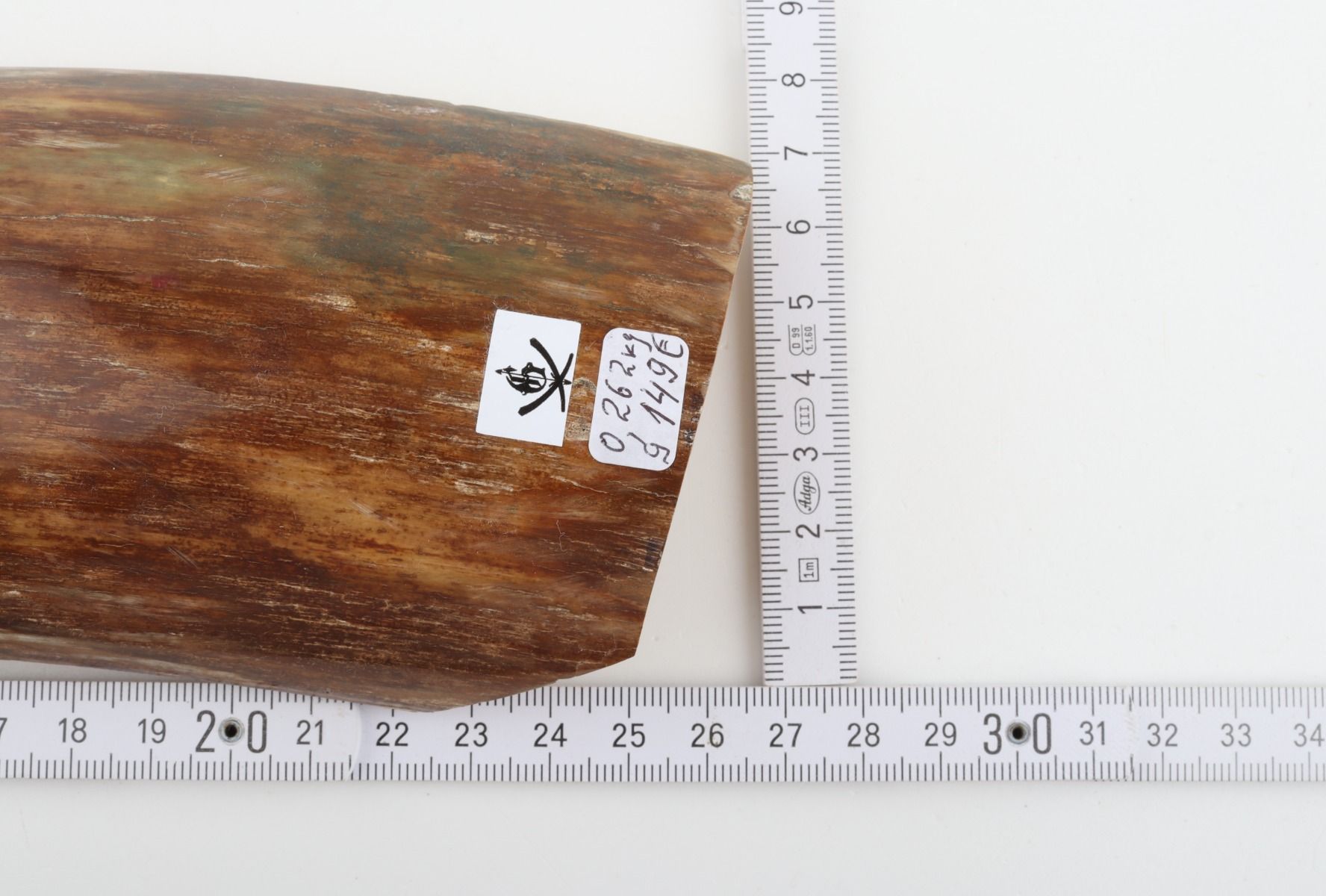 Green-brown mammoth bark