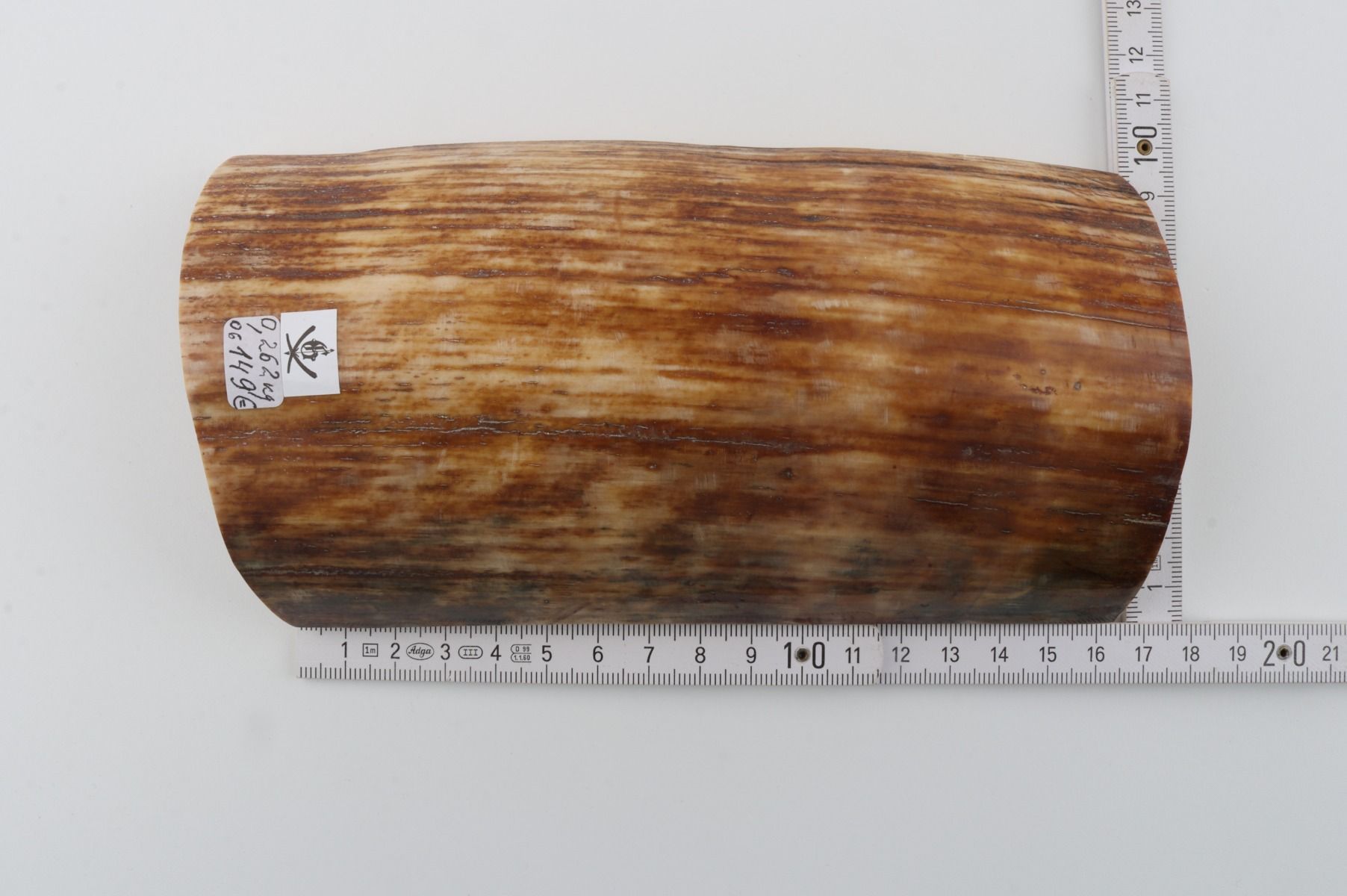 Brown-orange mammoth bark