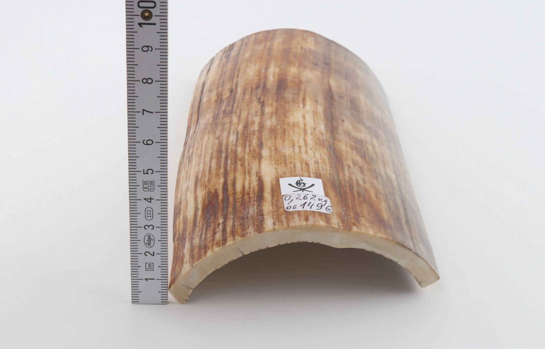 Brown-orange mammoth bark
