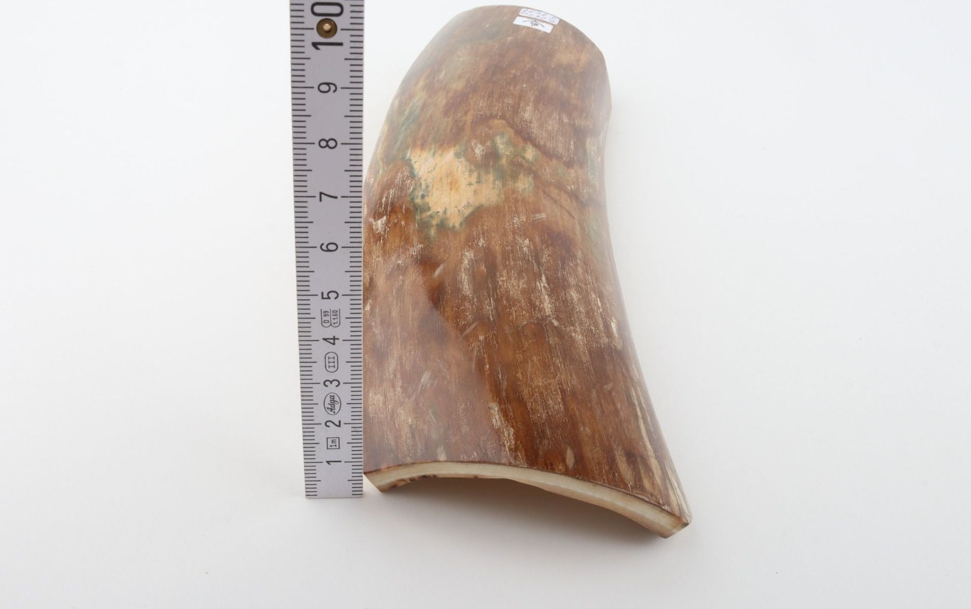 Green-brown mammoth bark