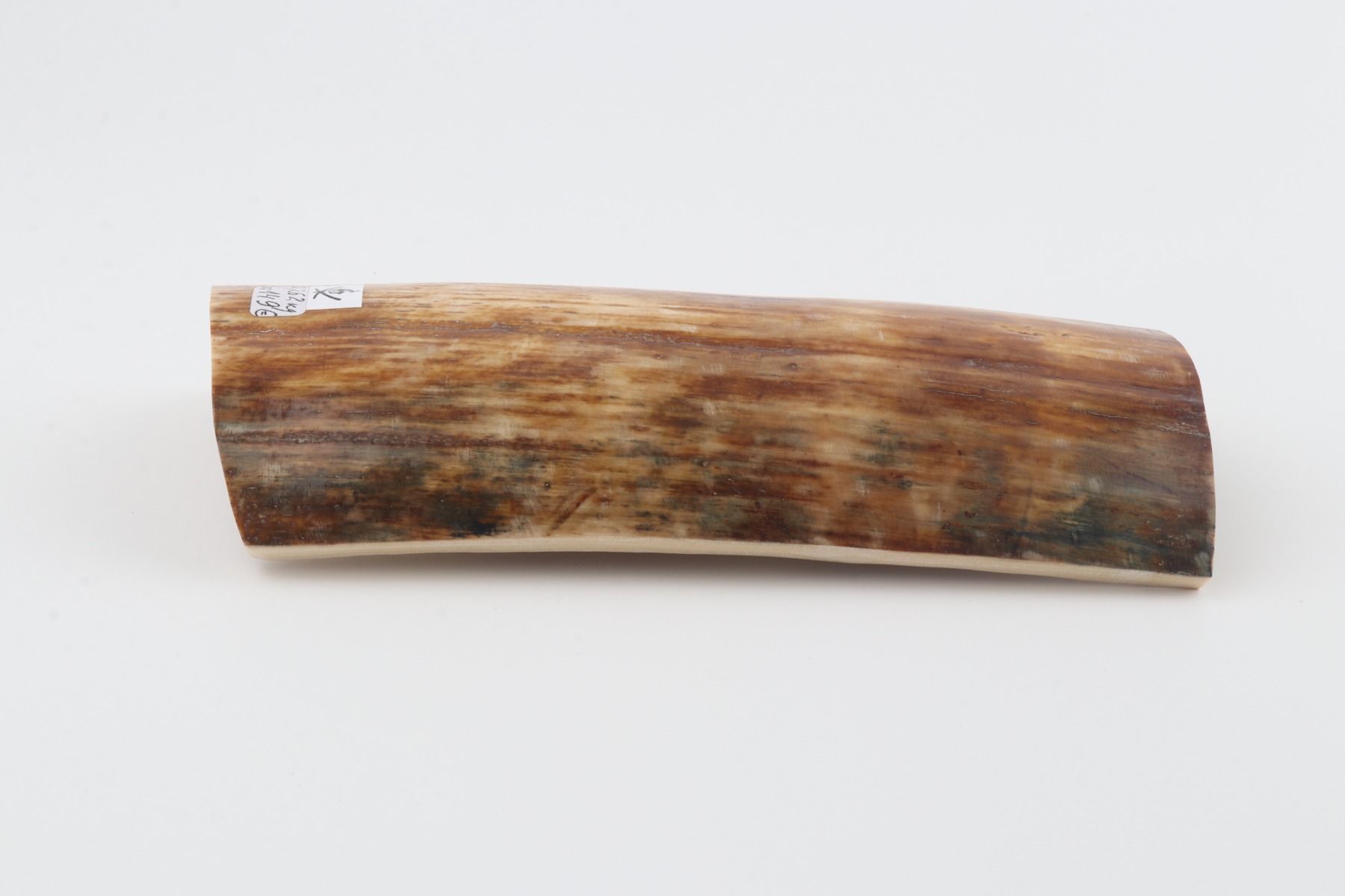 Brown-orange mammoth bark