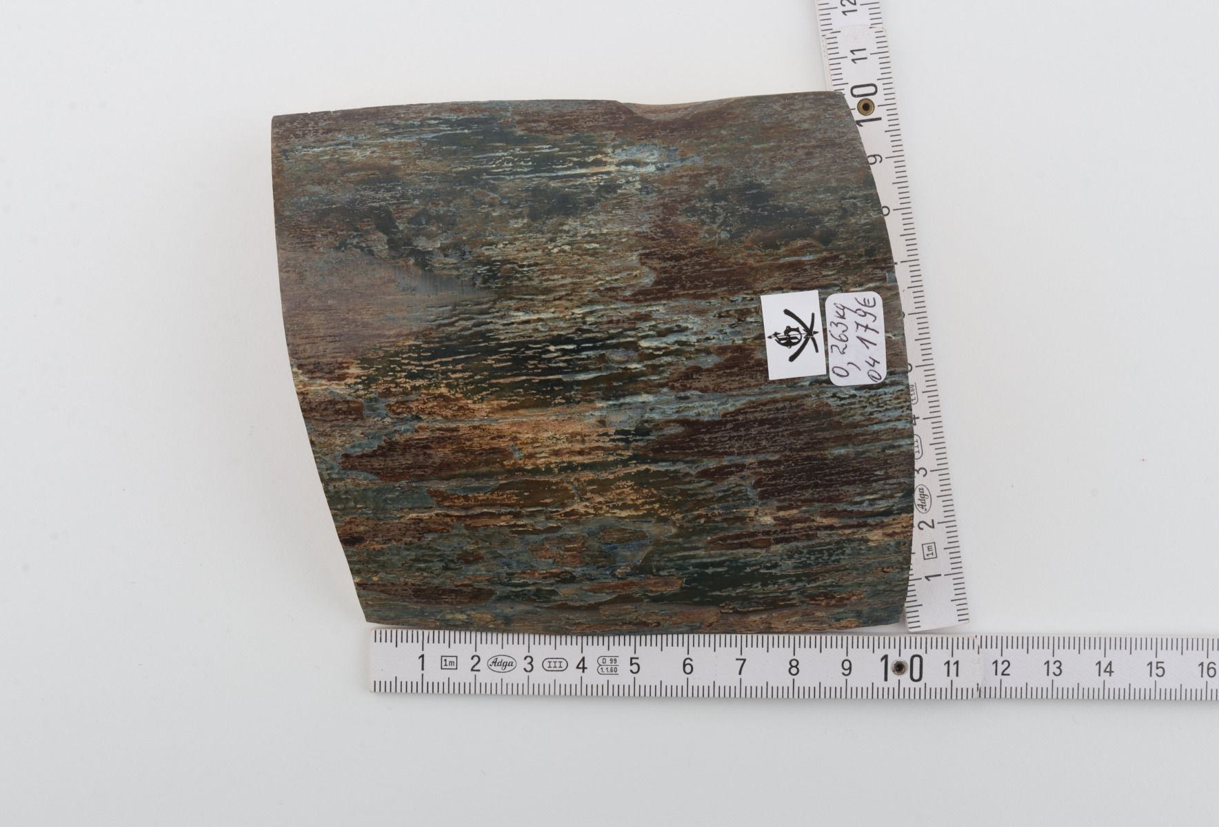 Blue-brown mammoth bark