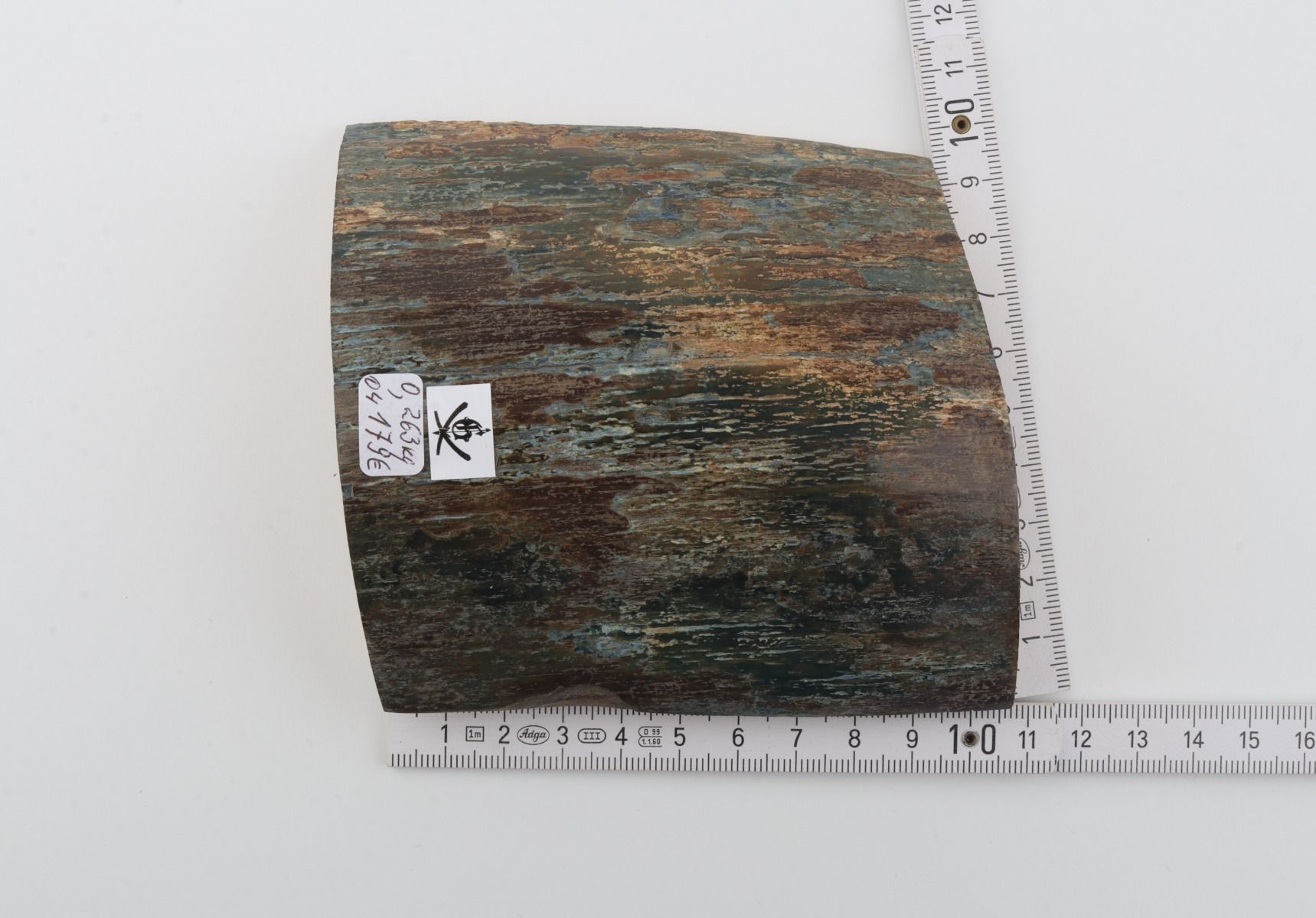 Blue-brown mammoth bark