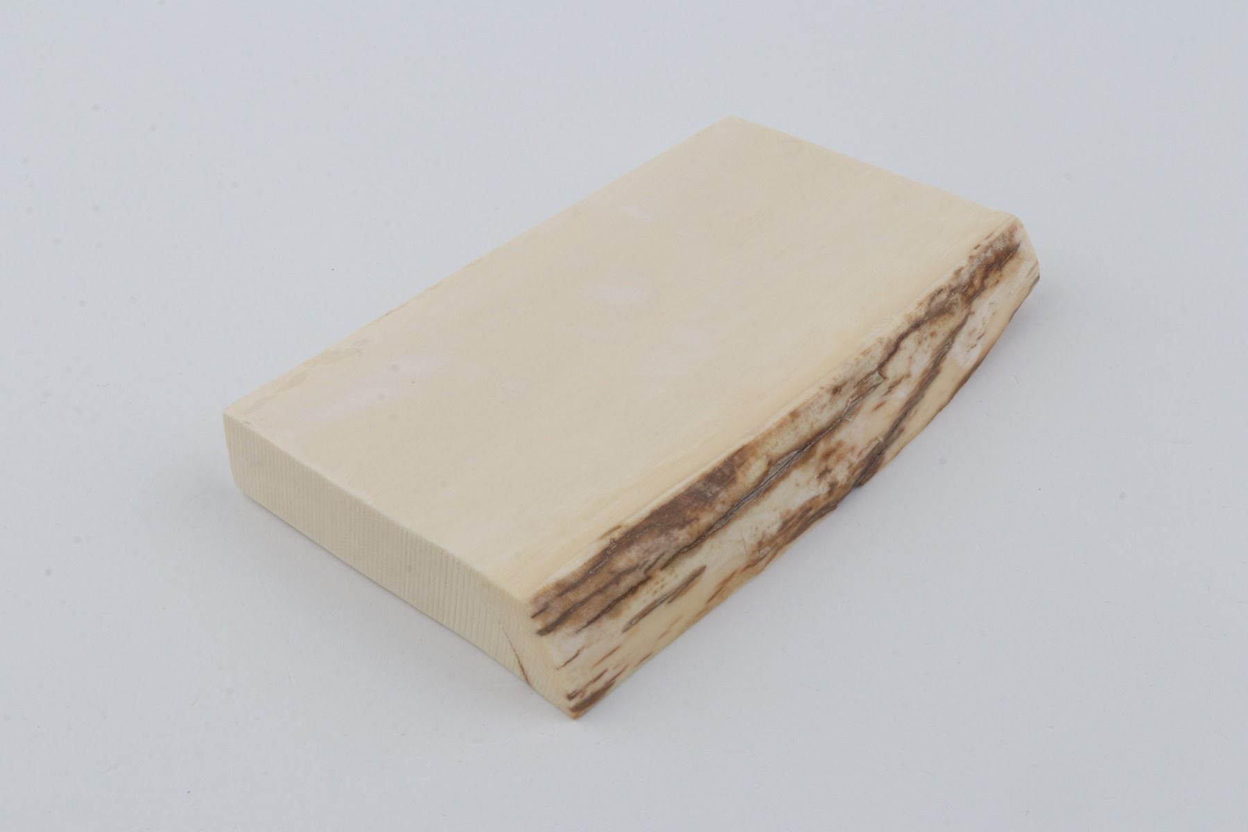 White mammoth ivory segment