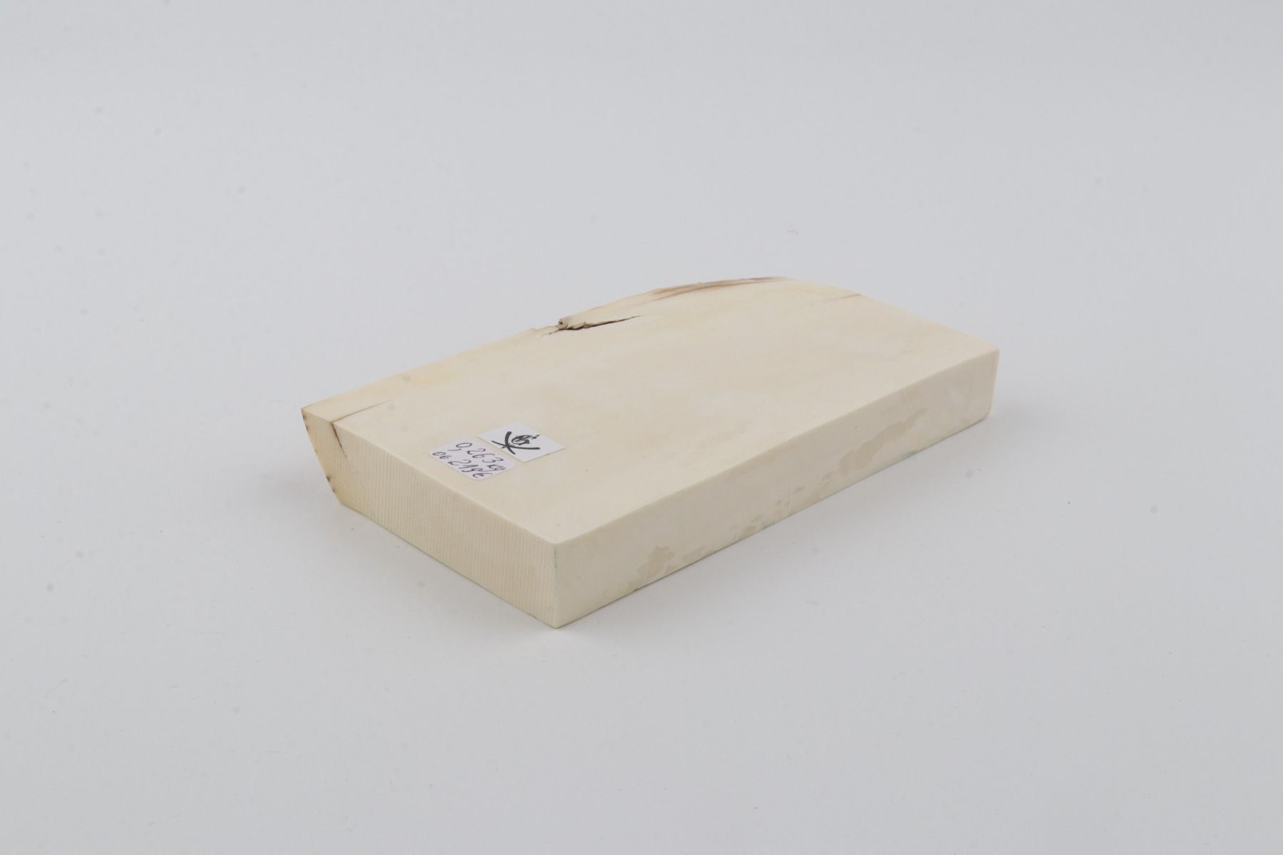 White mammoth ivory segment