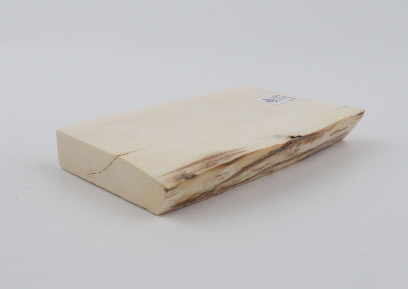 White mammoth ivory segment