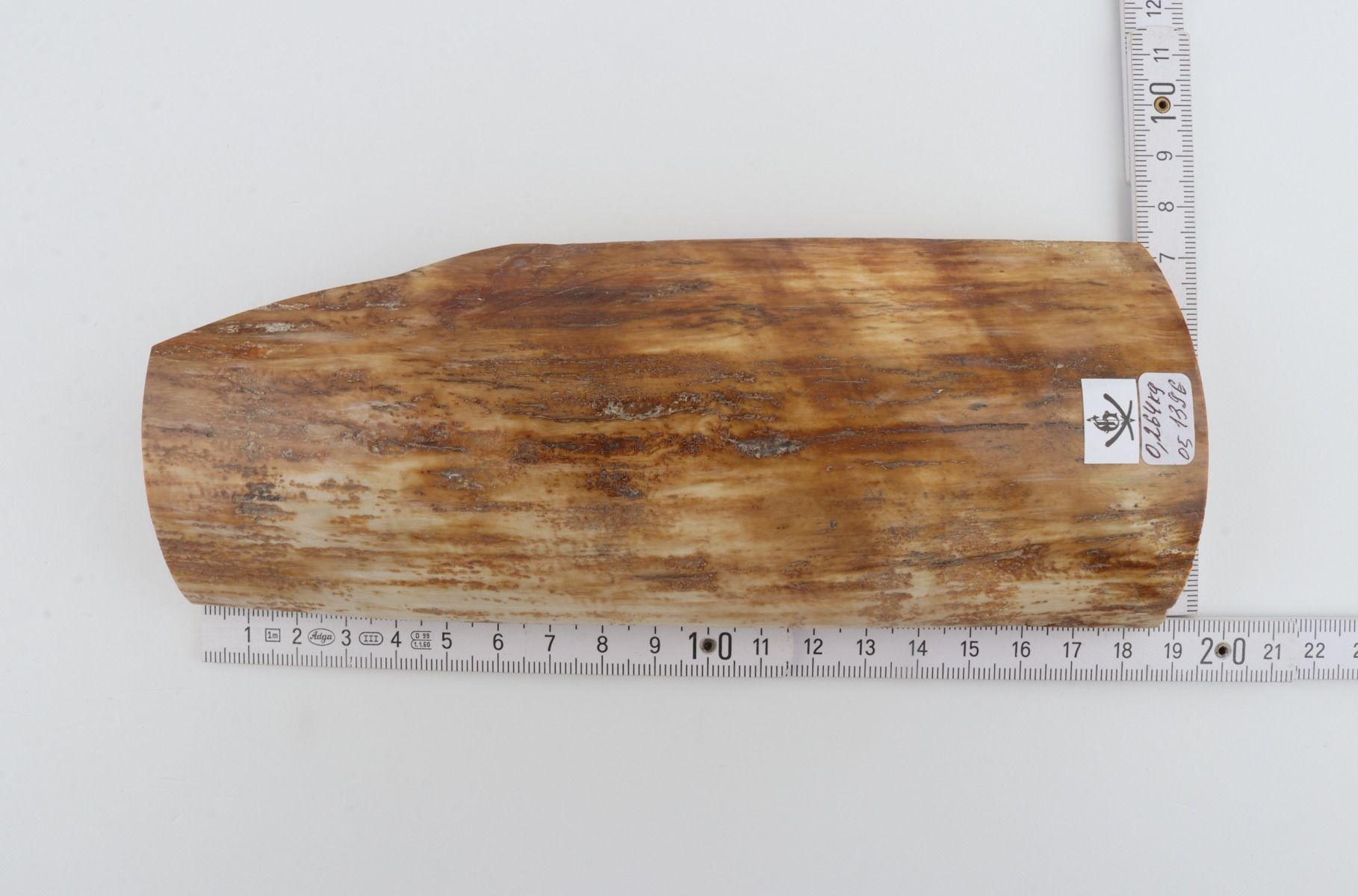 Beige-yellow mammoth bark