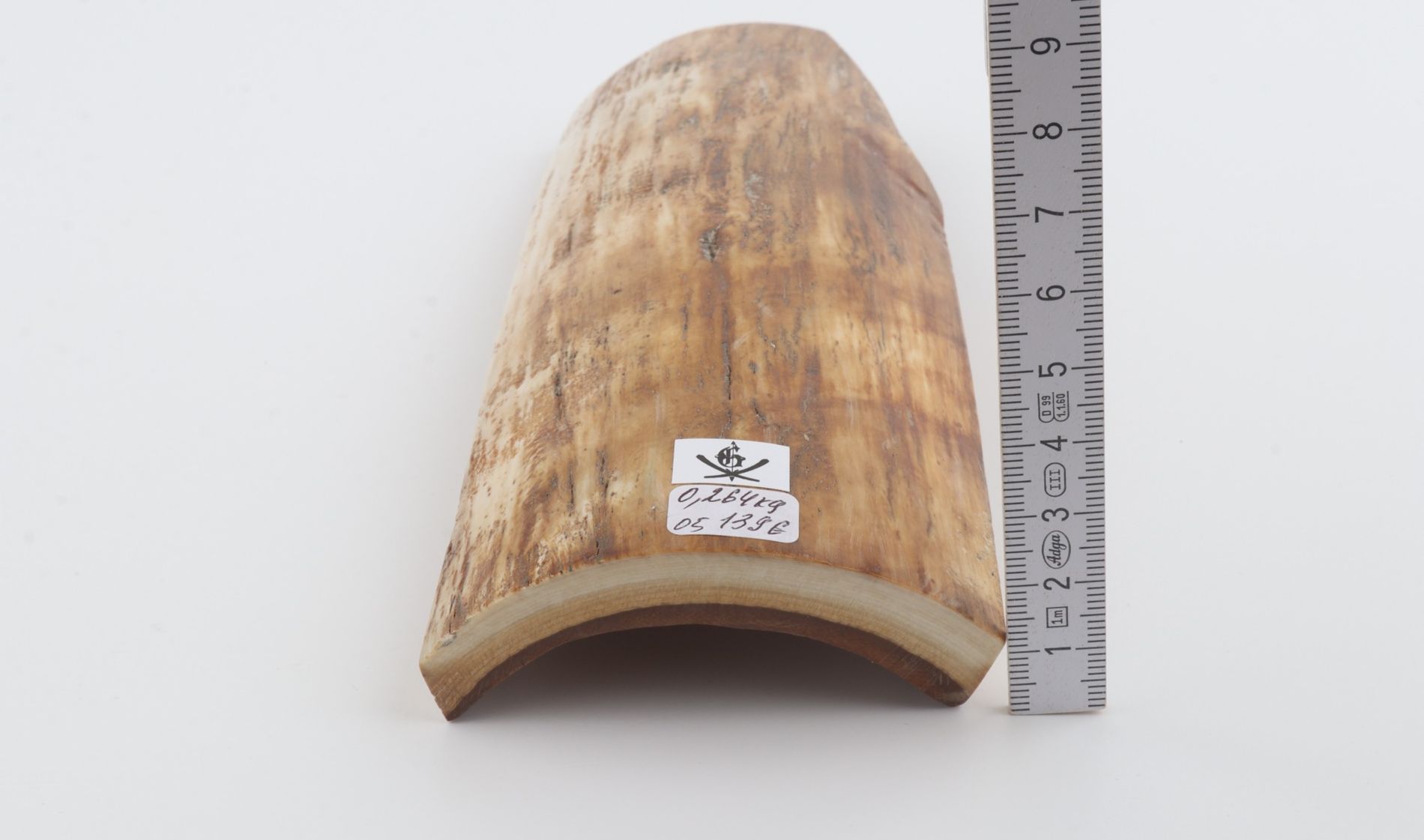 Beige-yellow mammoth bark