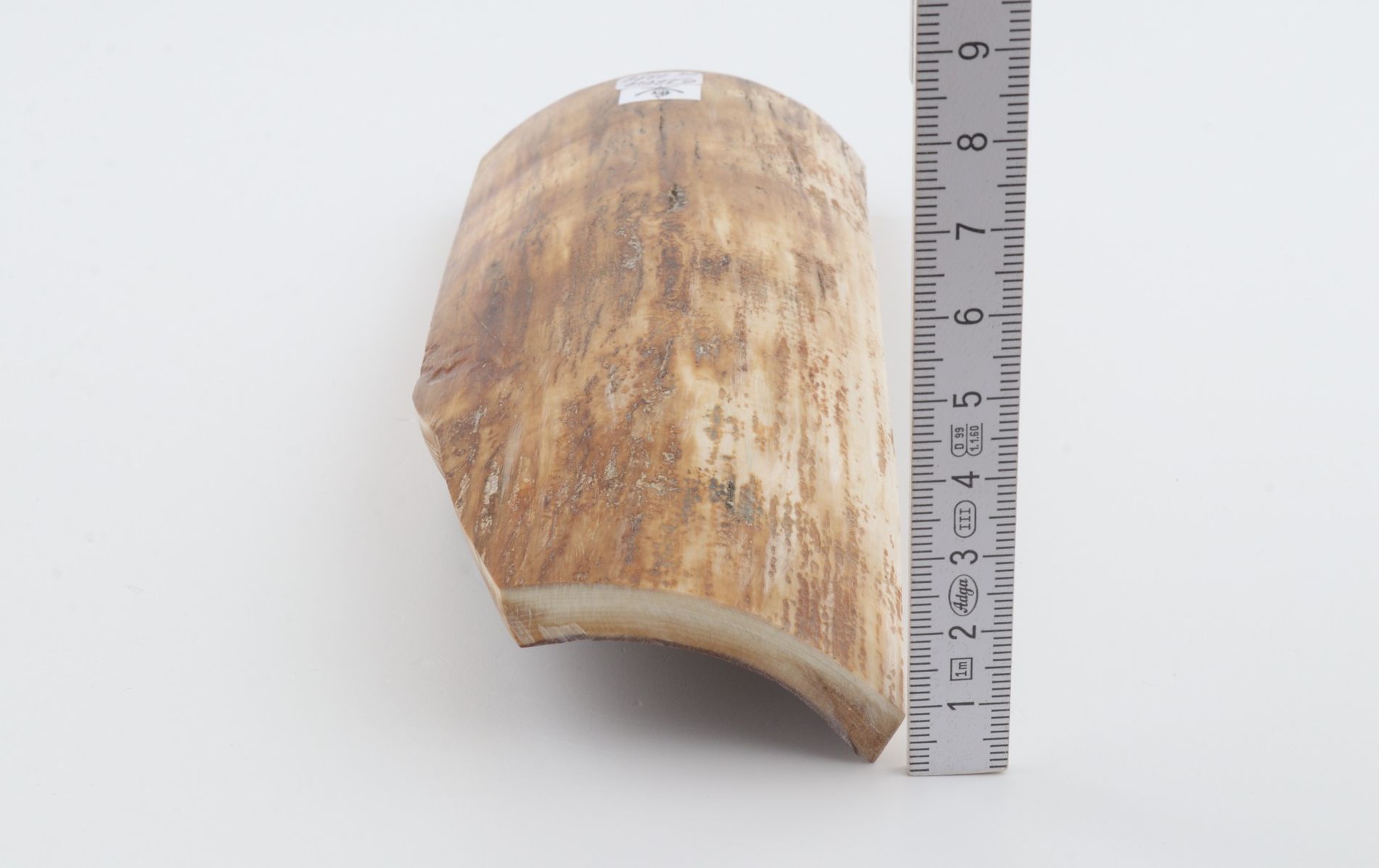 Beige-yellow mammoth bark