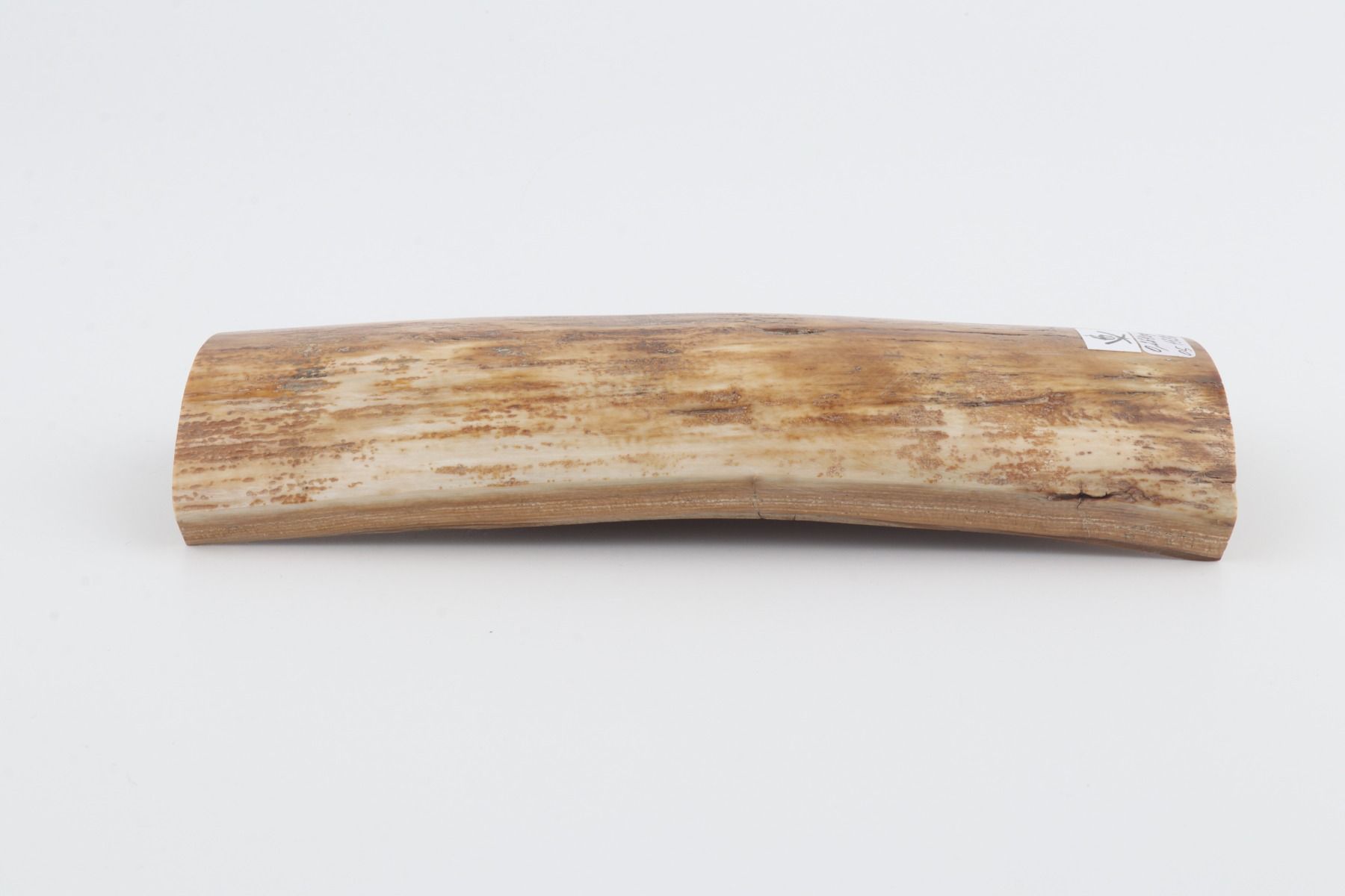Beige-yellow mammoth bark