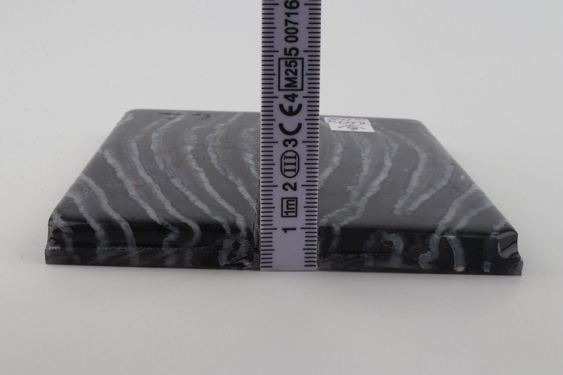 Stabilized mammoth molar scales