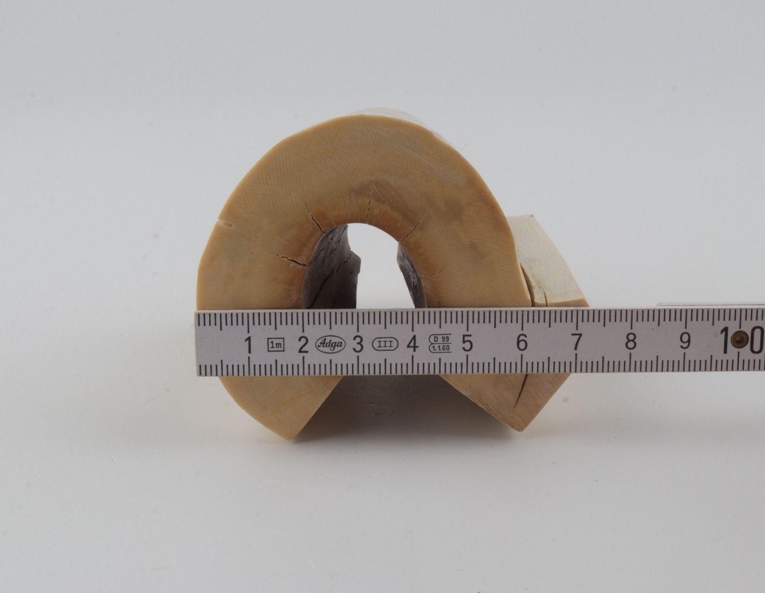 Natural mammoth ivory piece