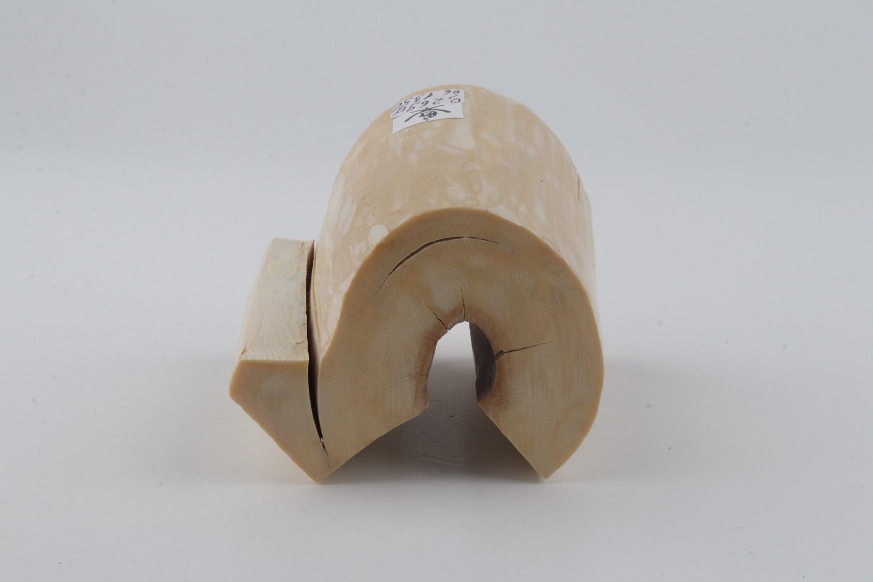 Natural mammoth ivory piece
