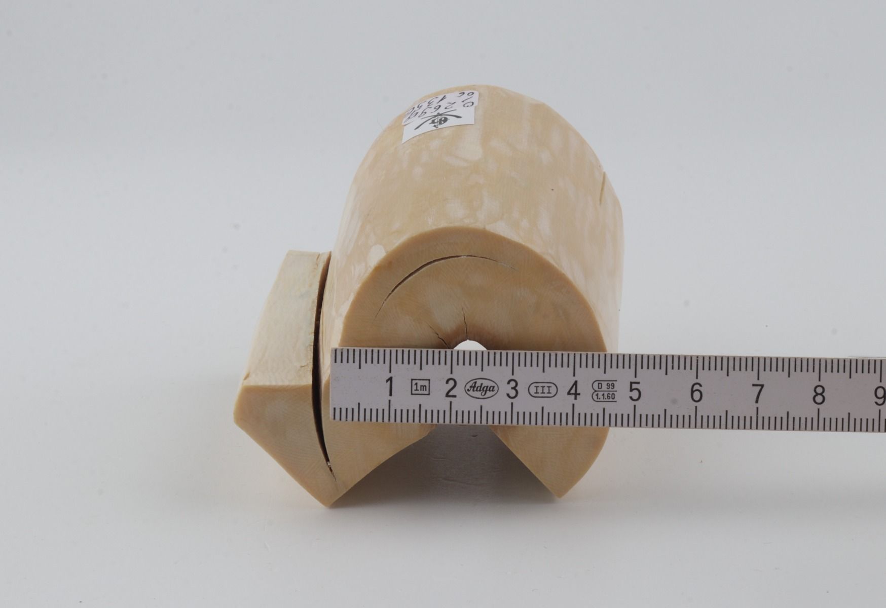 Natural mammoth ivory piece
