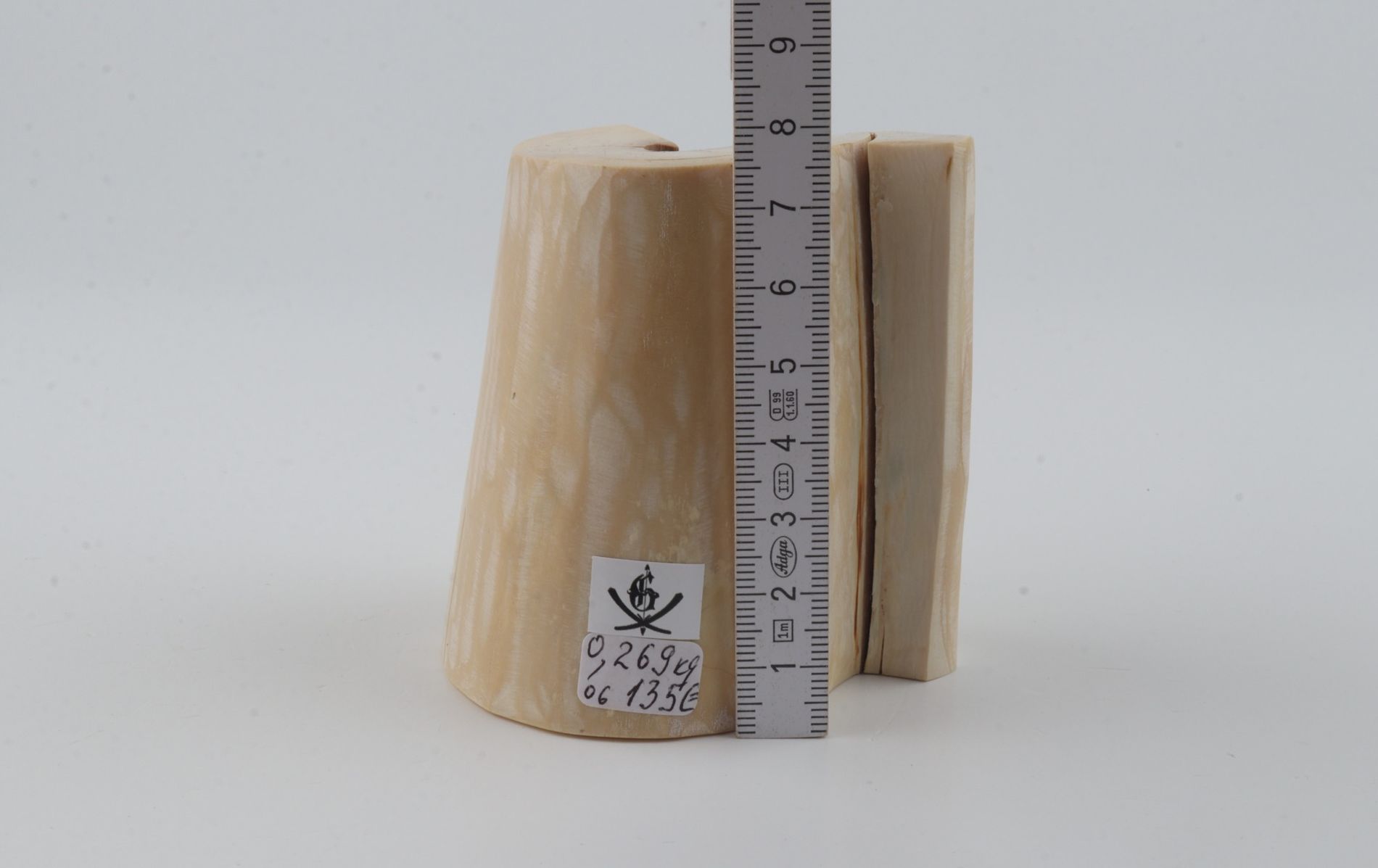 Natural mammoth ivory piece