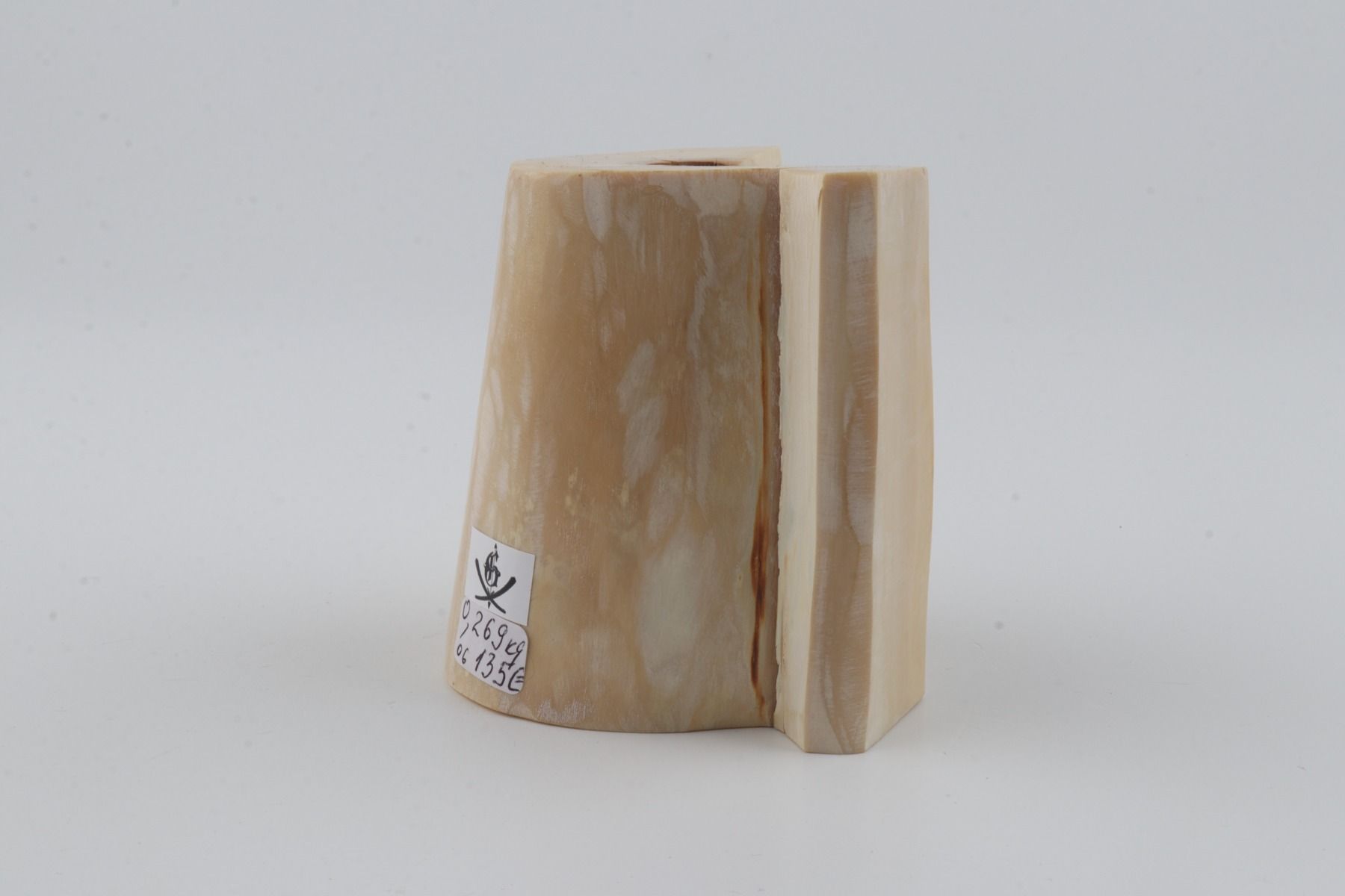 Natural mammoth ivory piece