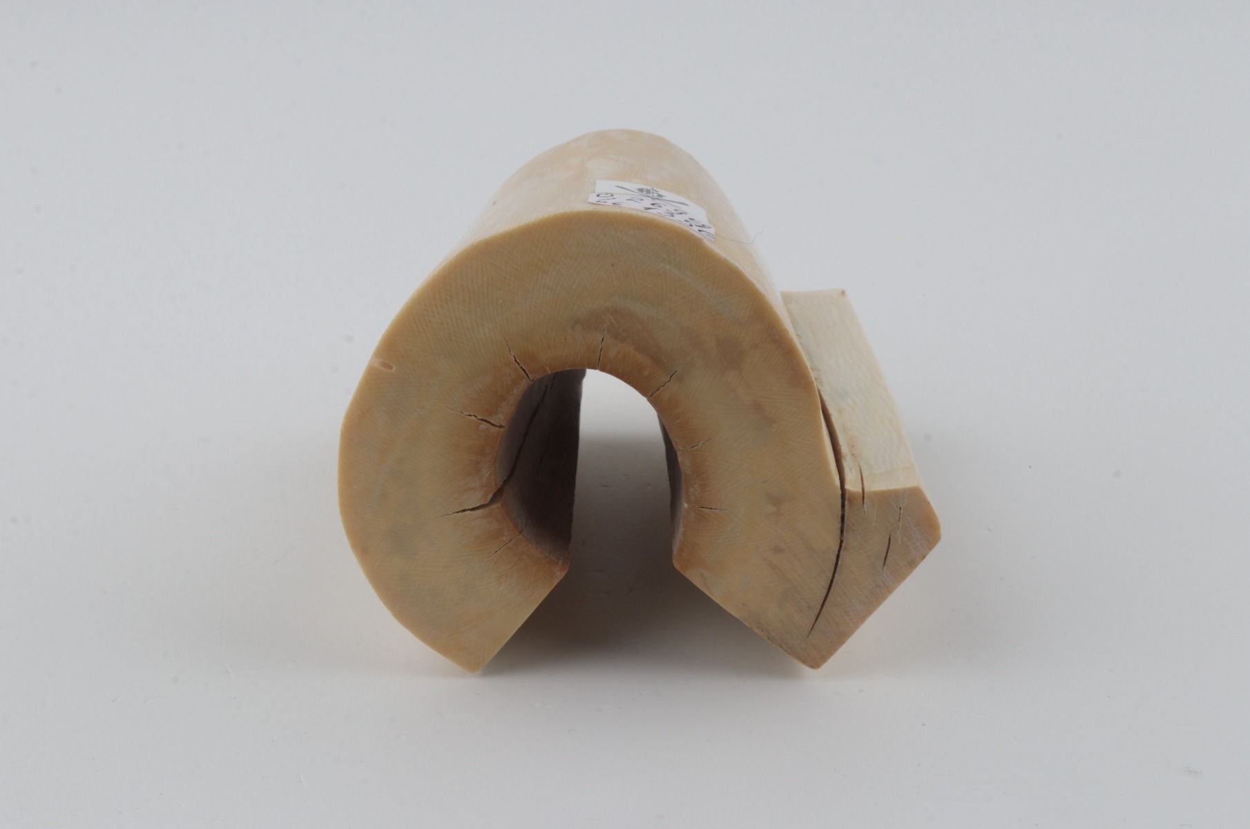 Natural mammoth ivory piece