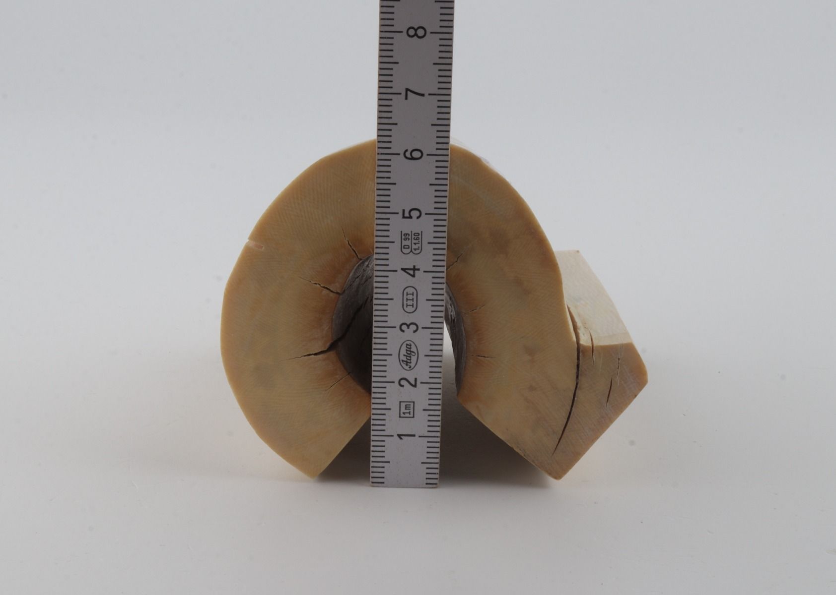 Natural mammoth ivory piece