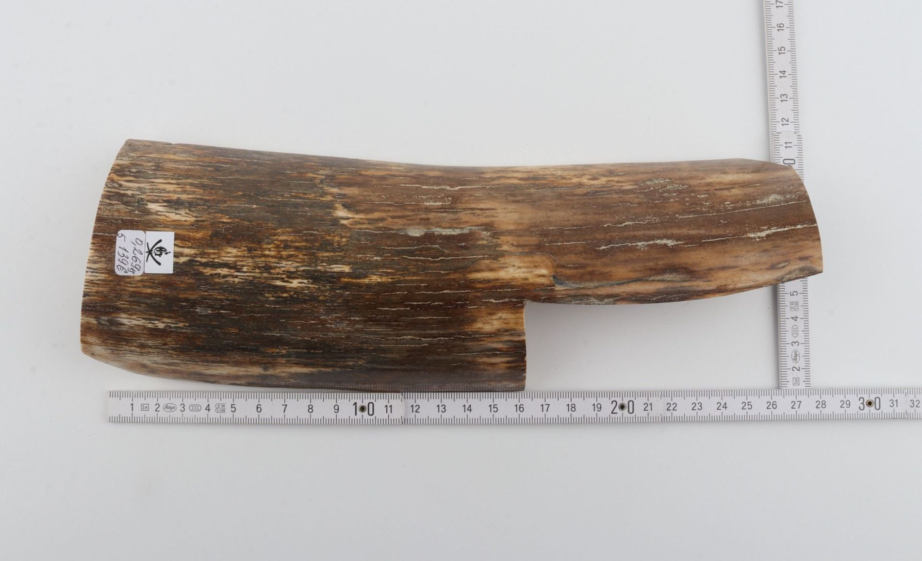 Natural mammoth bark