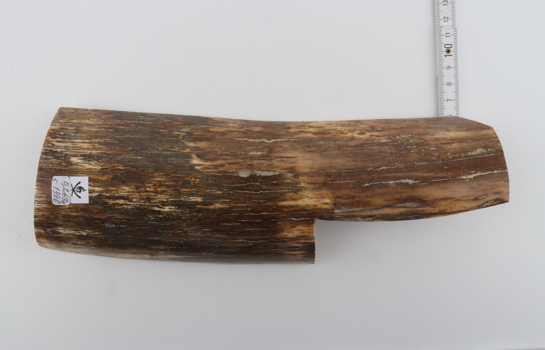 Natural mammoth bark